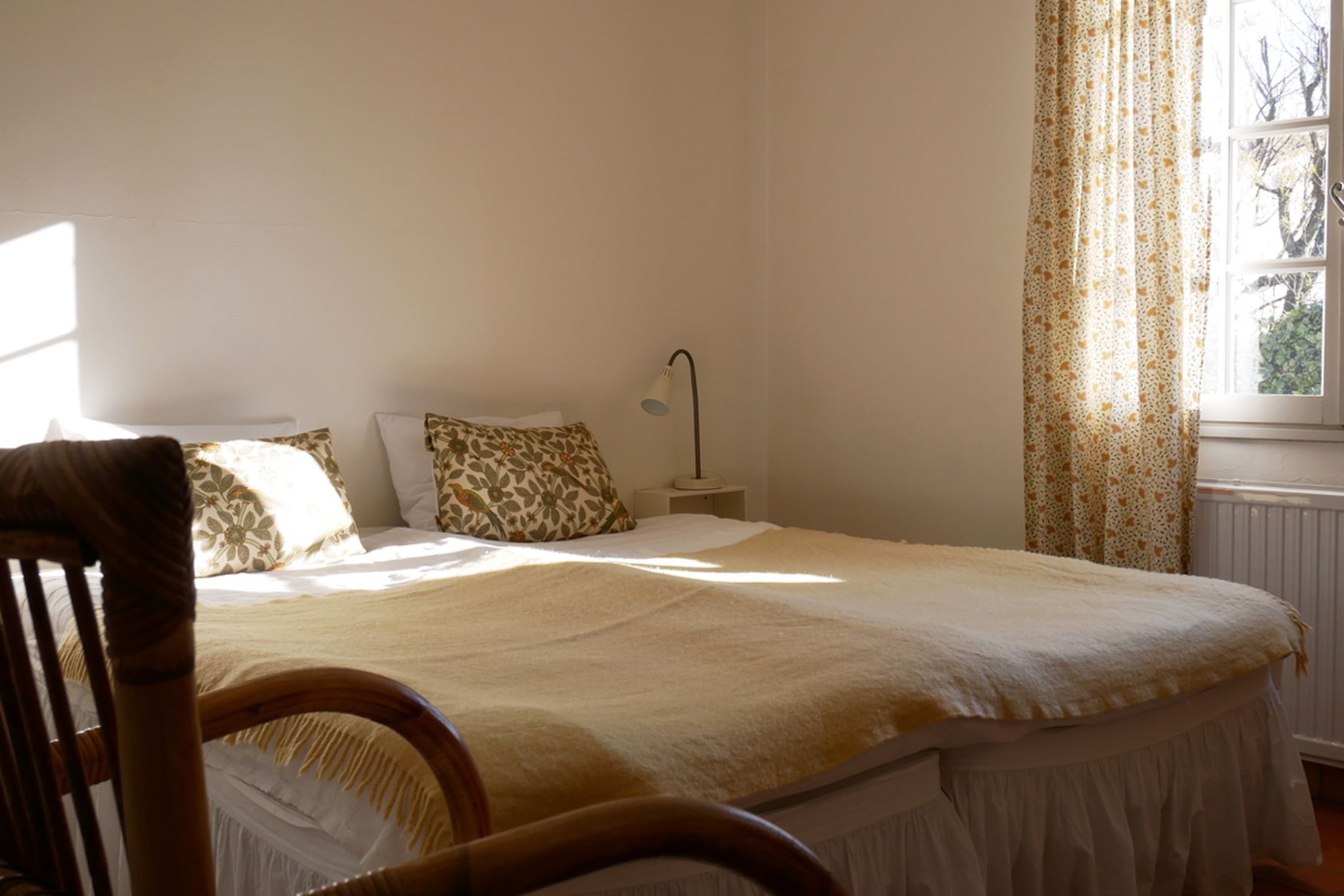 Mimosa Cottage - Gallery