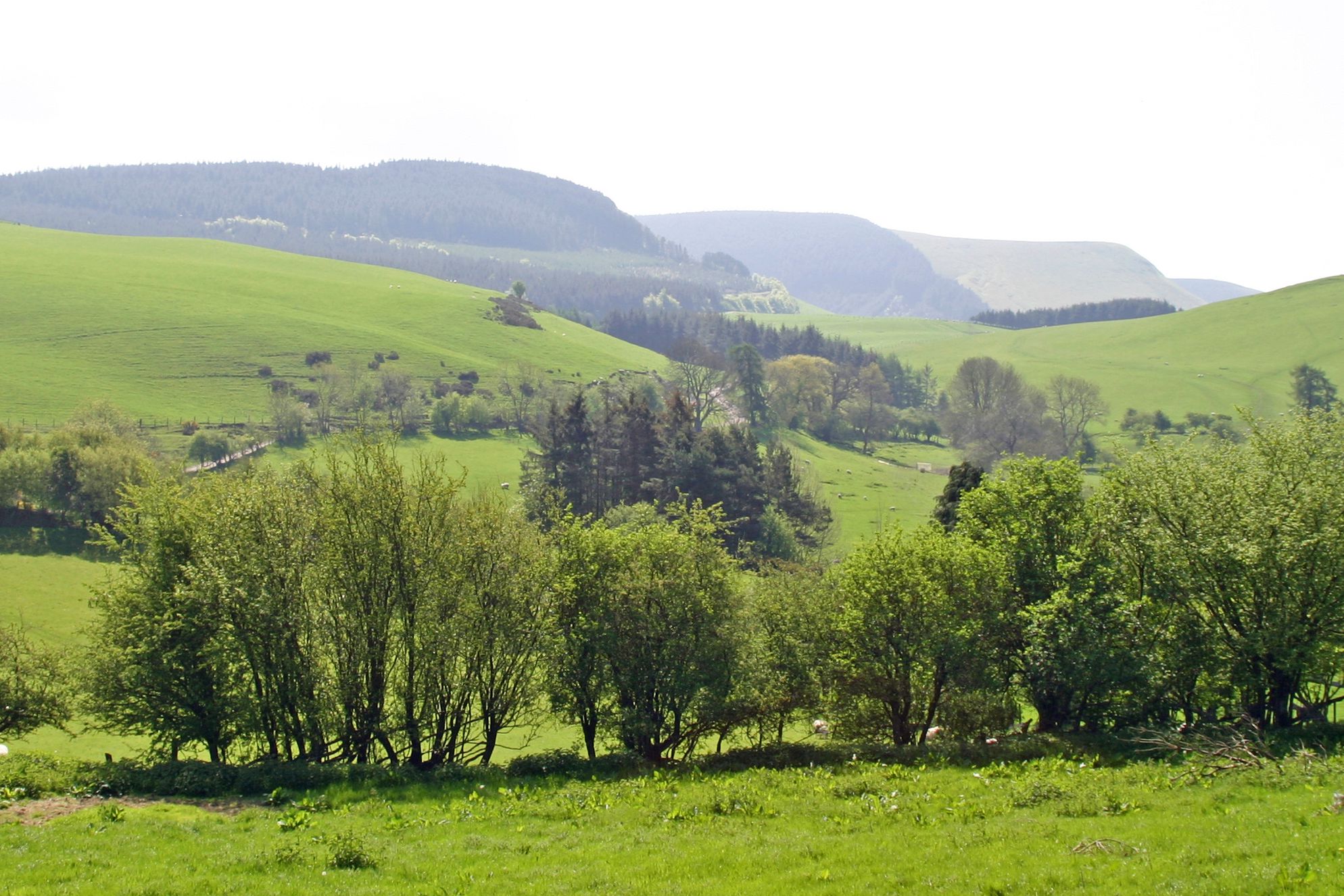 Drovers Retreat - Gallery
