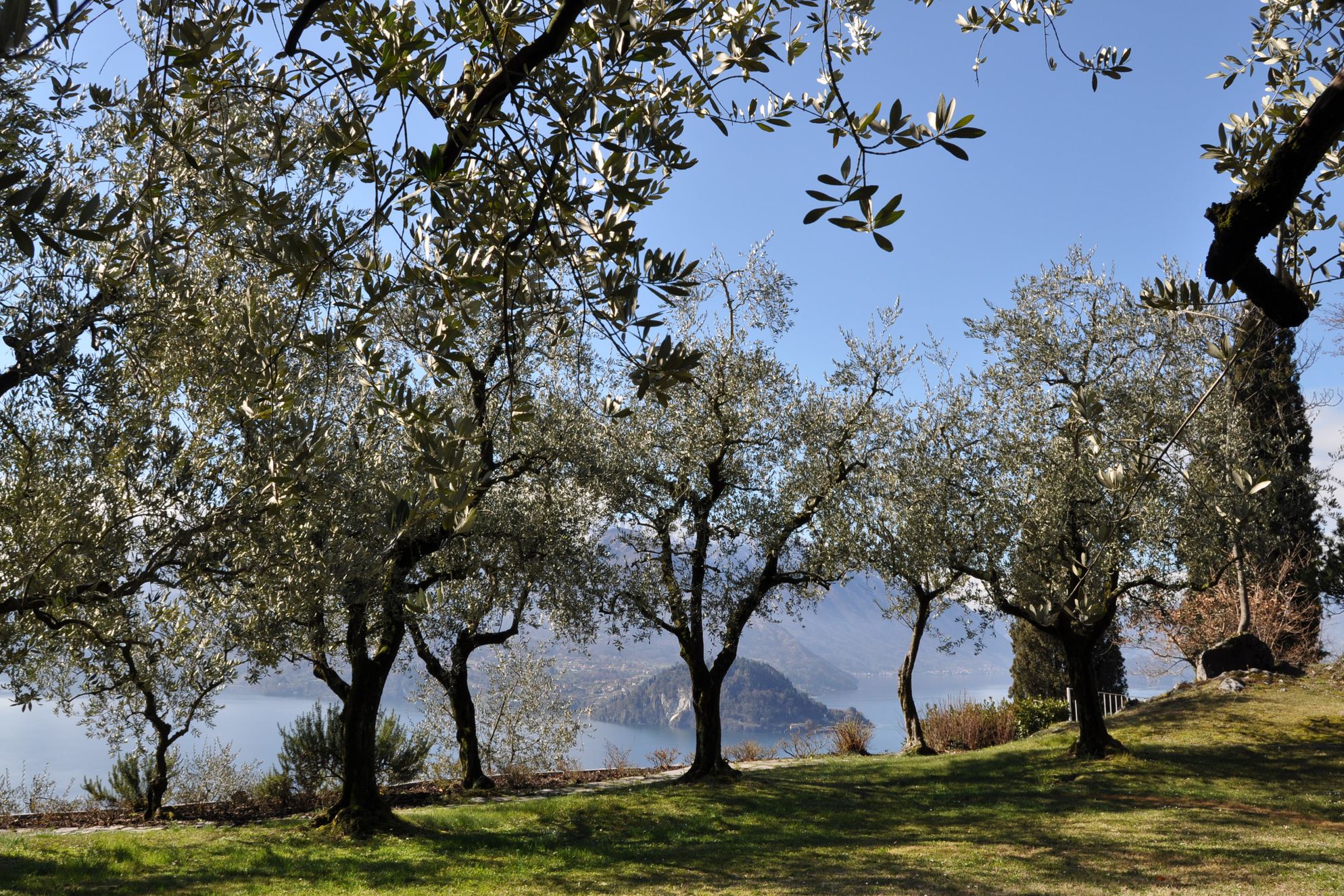 Castello di Vezio - Gallery