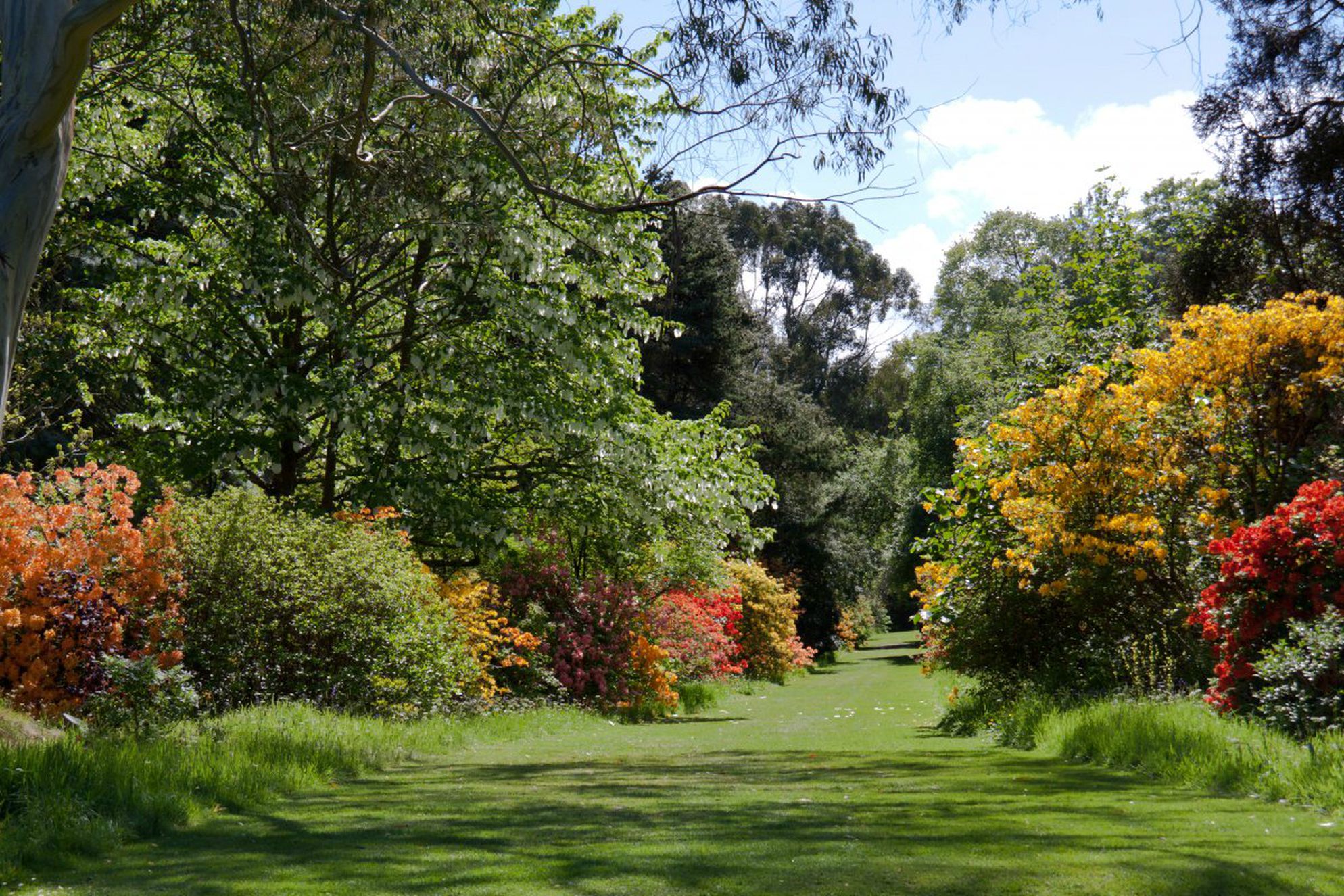 Mount Usher Gardens - Gallery