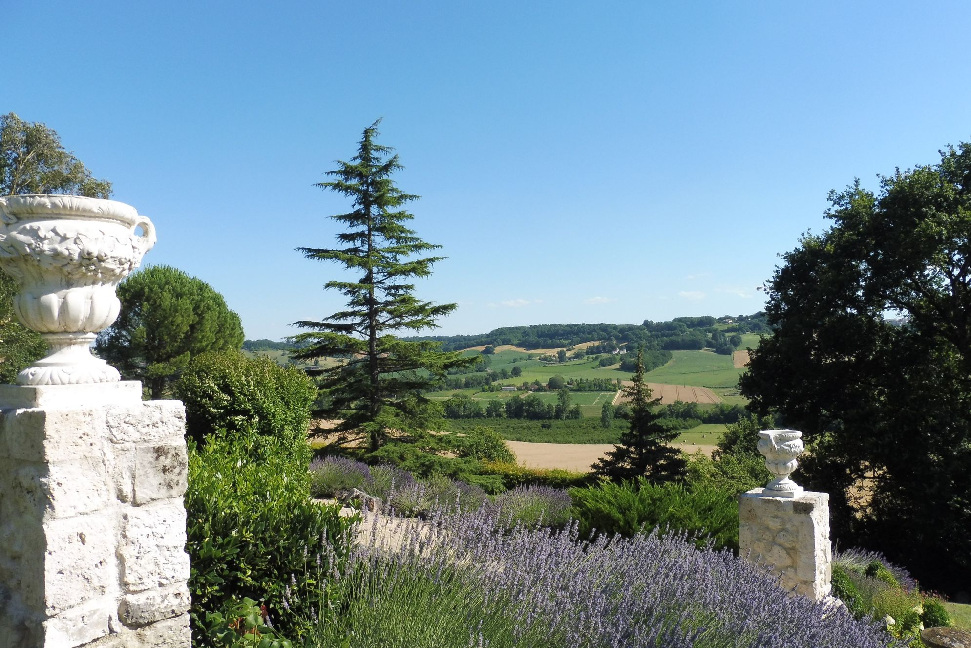 La Maison de Maitre - Gallery