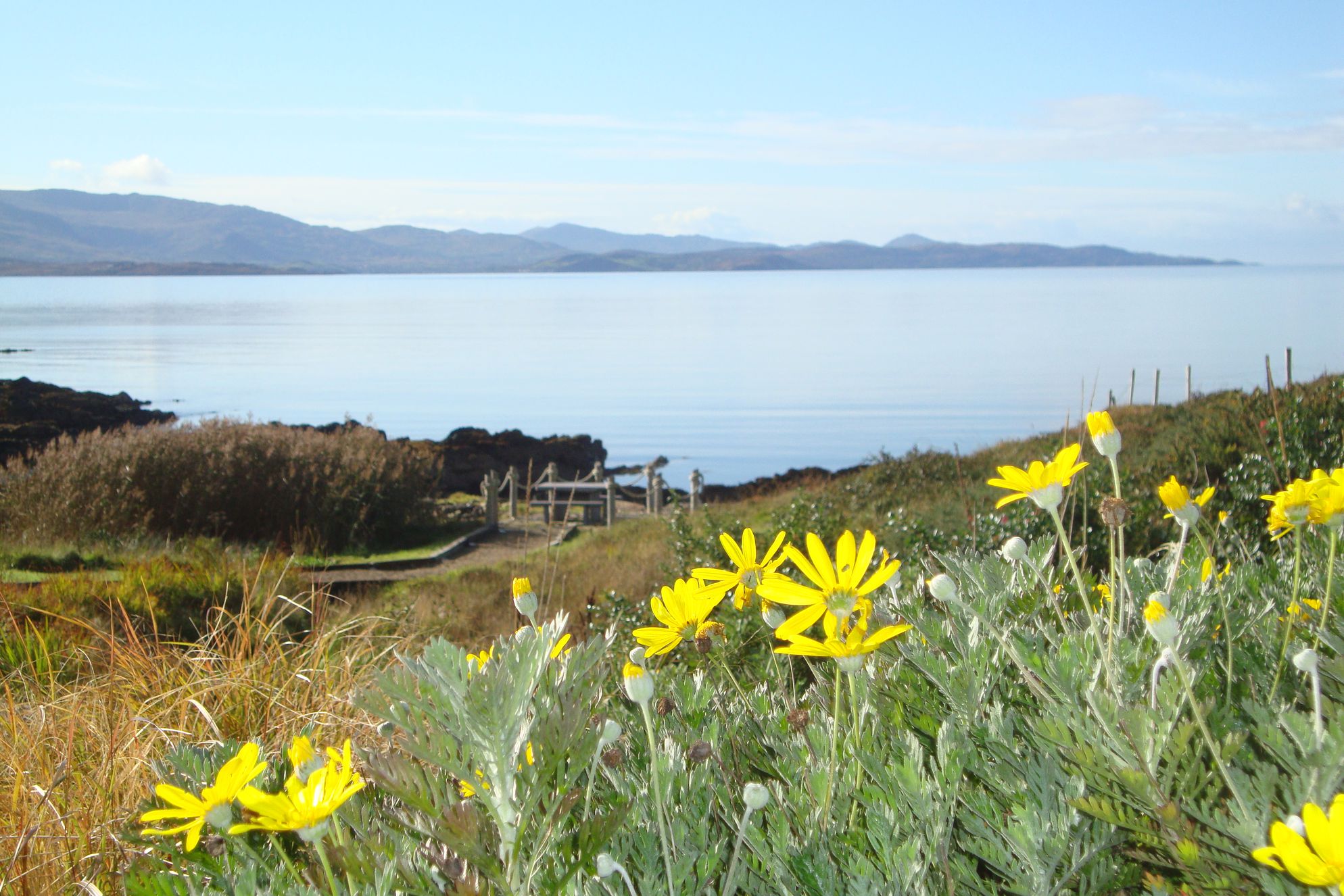 Seal Rock Cottage - Gallery