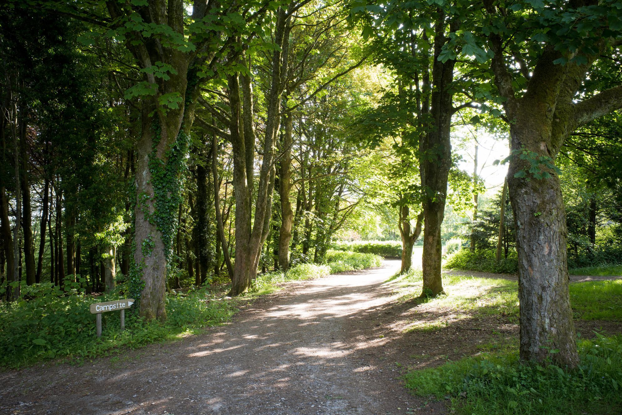 South Downs Eco Lodge - Gallery