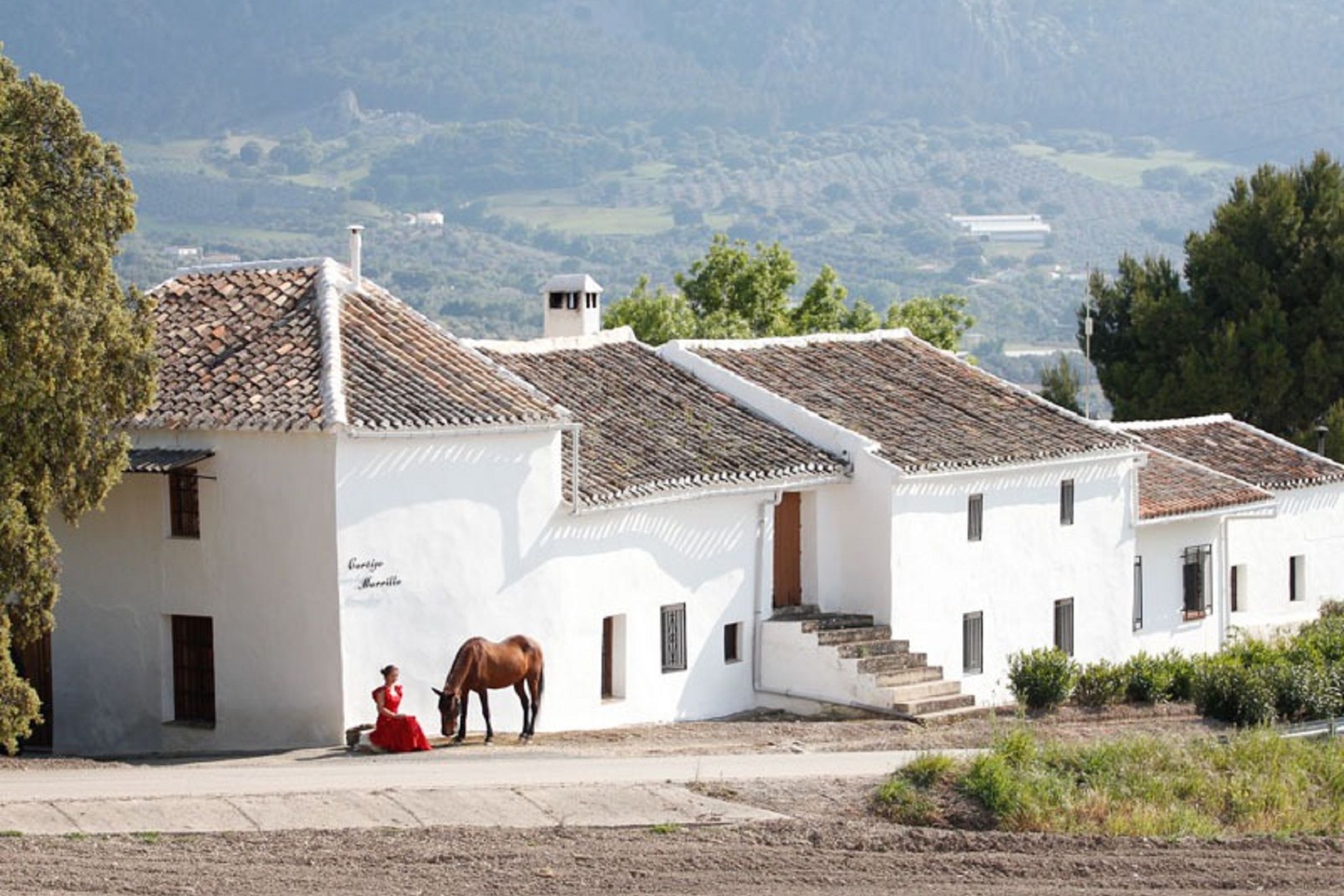 Cortijo los Lobos - Gallery