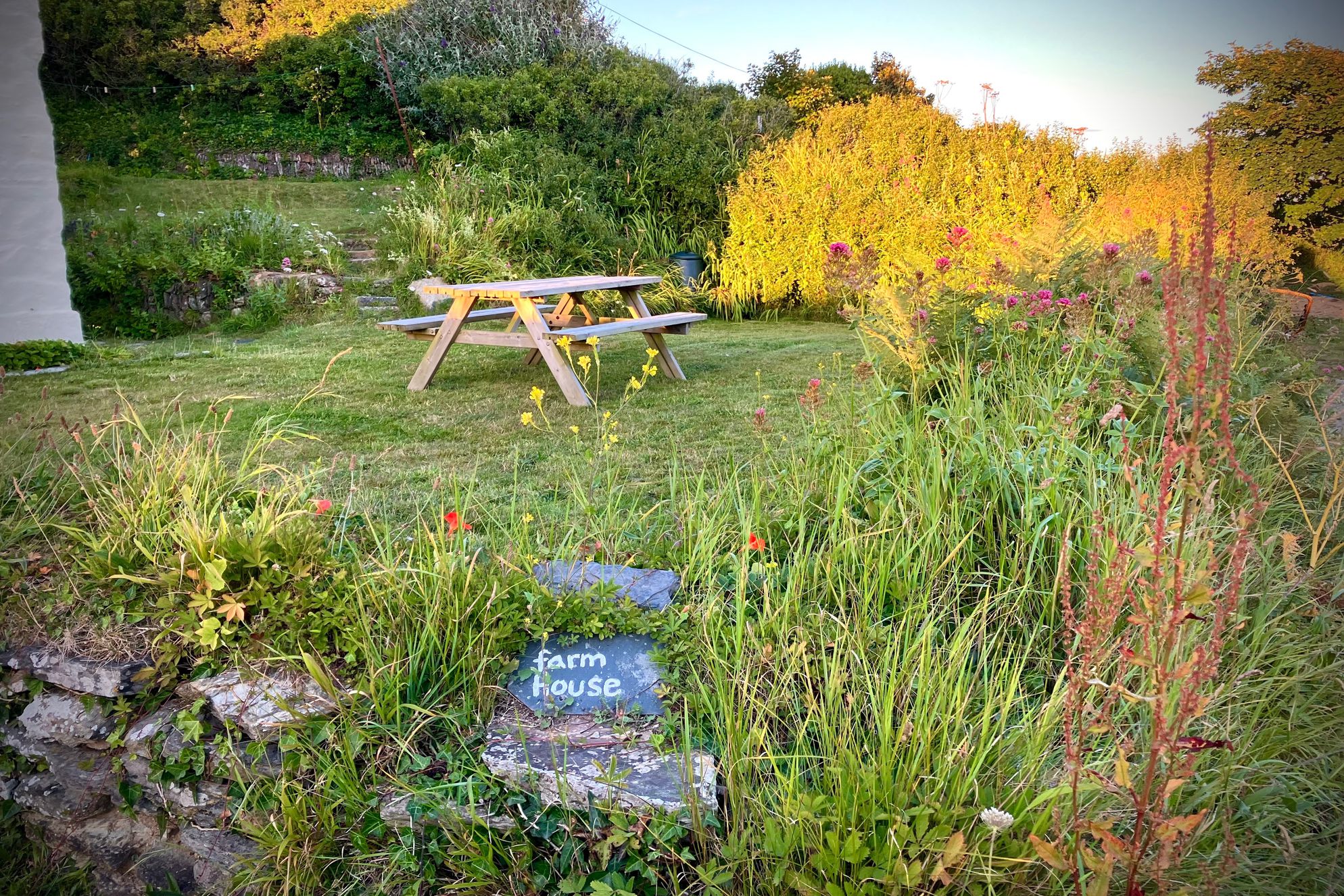 Porth Farmhouse - Gallery