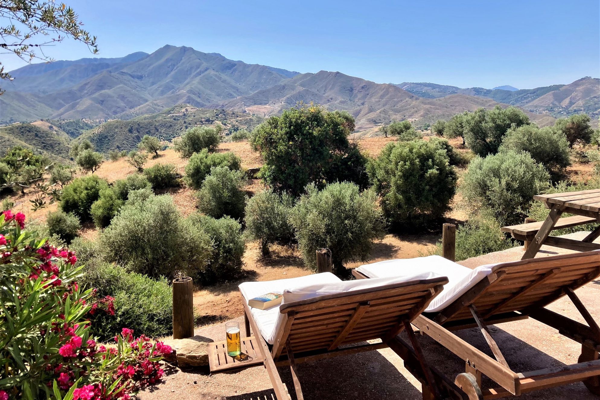 Casa Limones & Los Olivos - Gallery