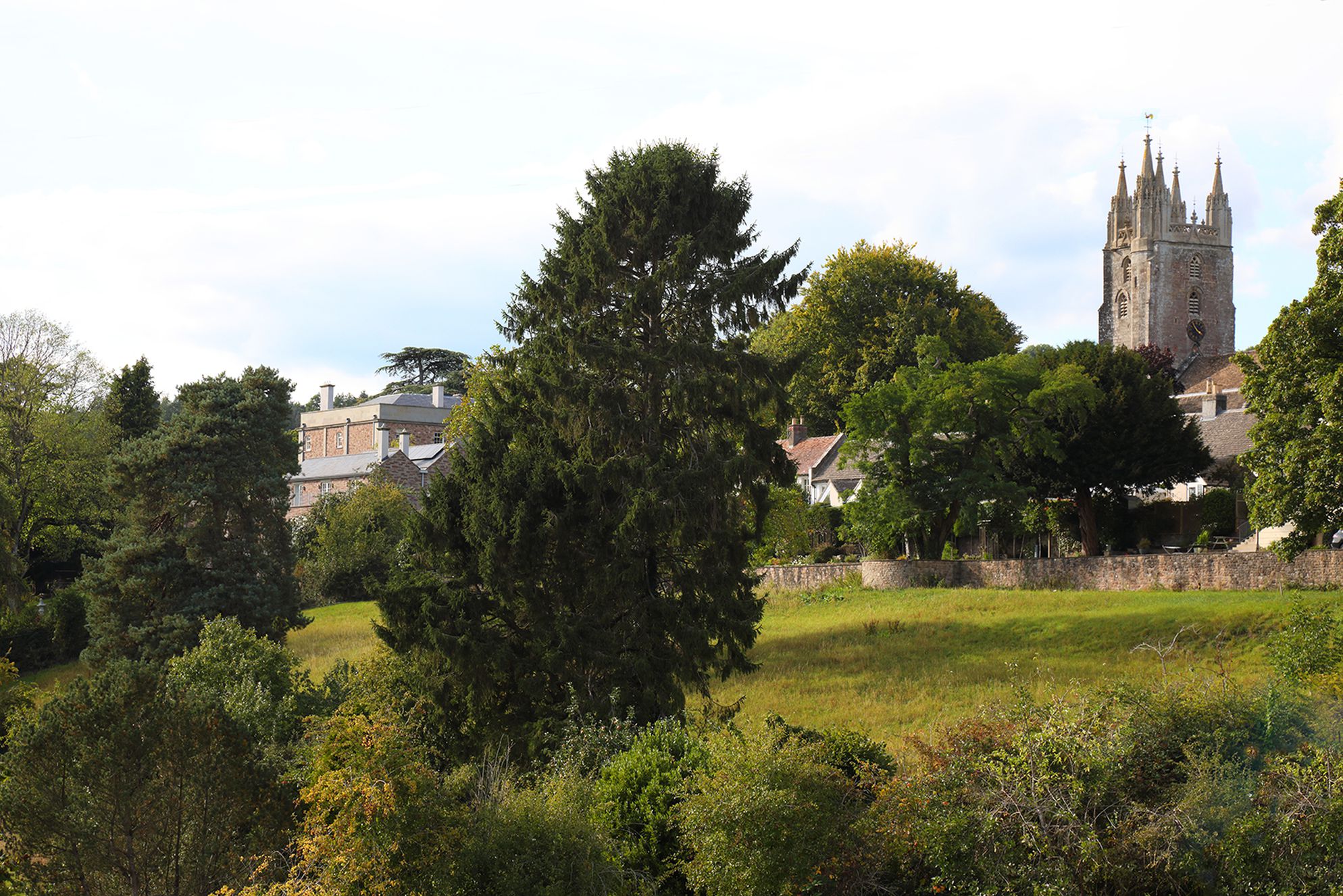 Woofield - Steeple View - Gallery