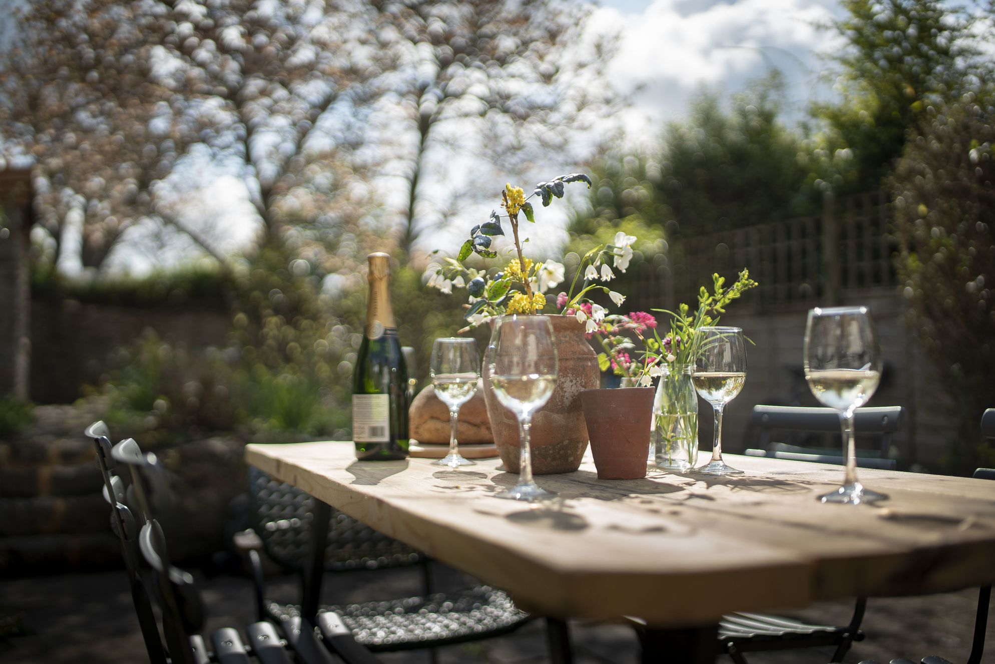 Blackbird Cottage - Gallery