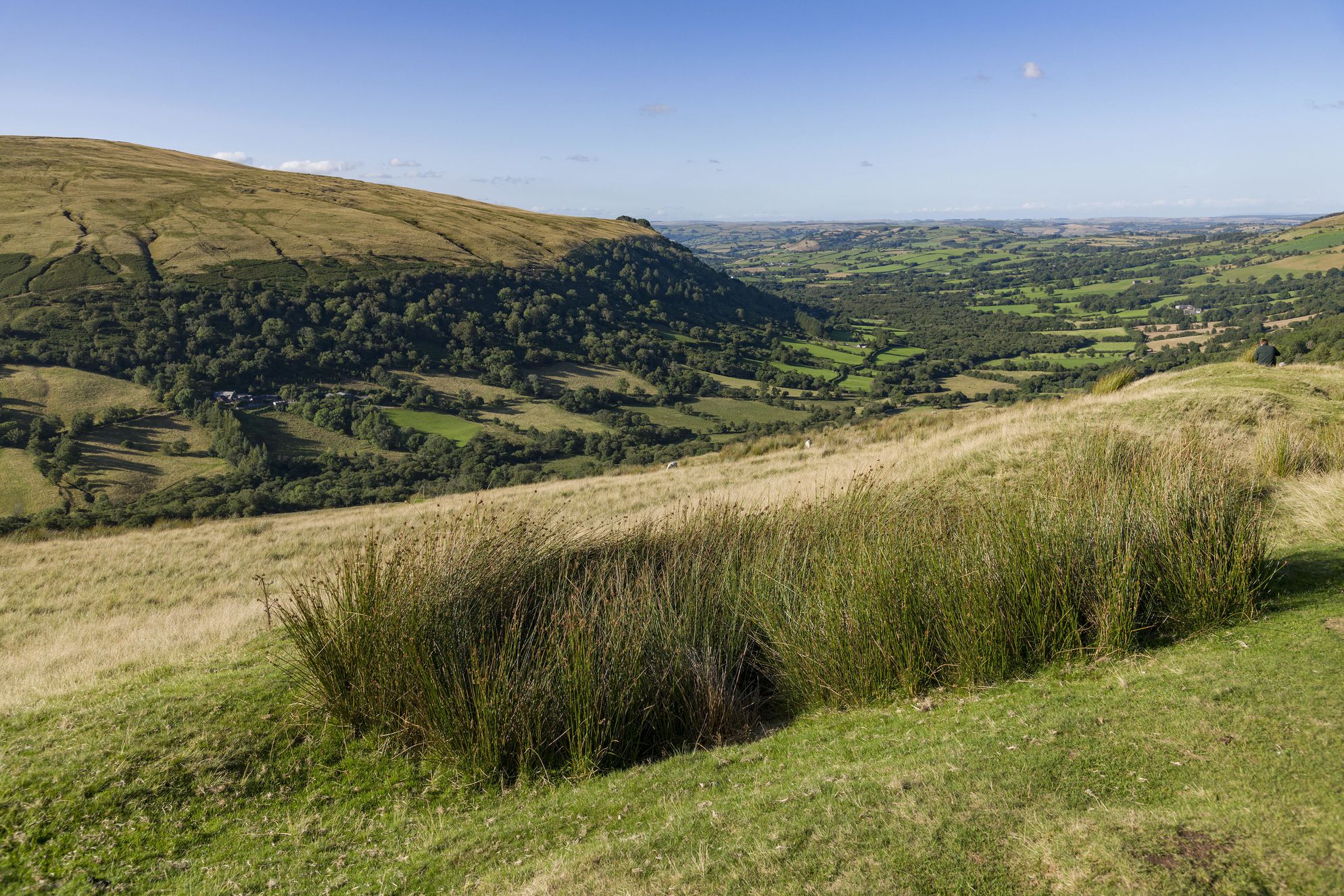 Glan Honddu - Gallery