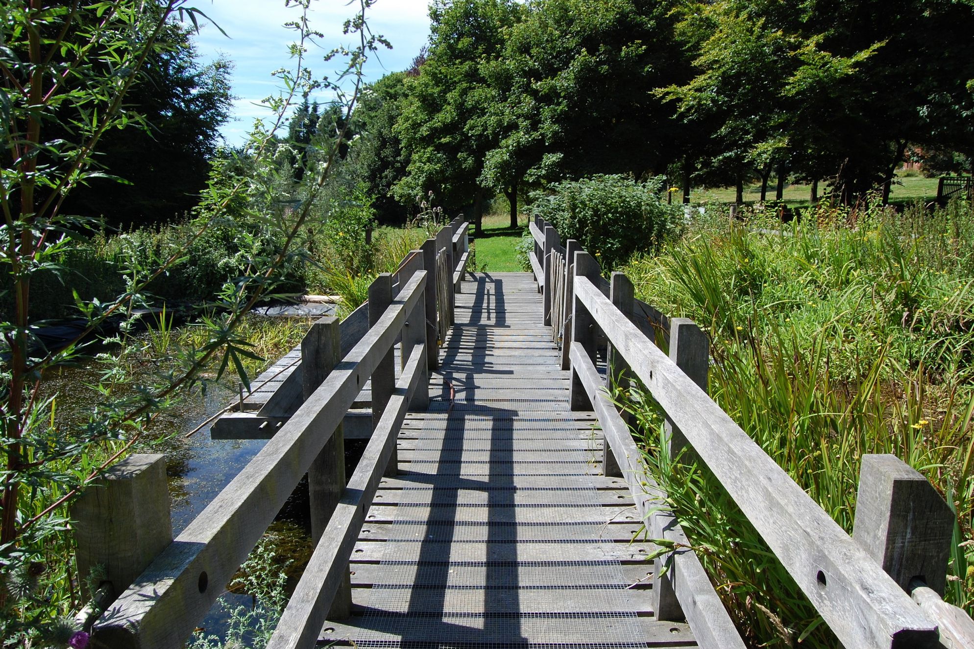 South Downs Eco Lodge - Gallery