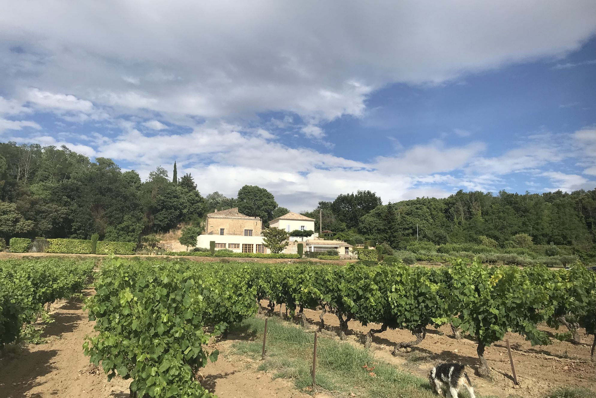 Domaine Cadignac - Gallery