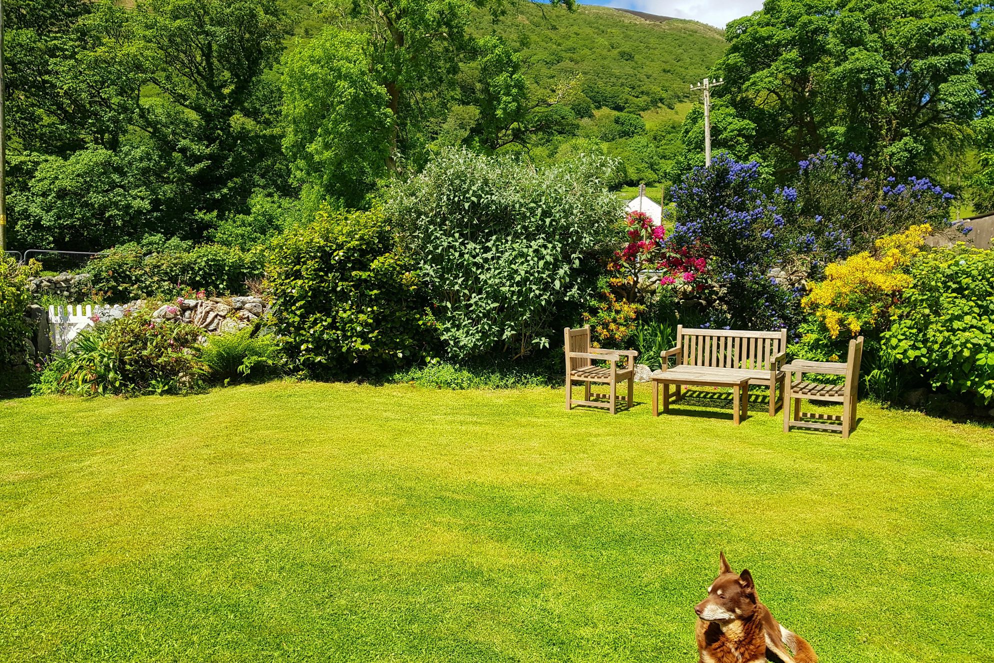 Glan Cader - Gallery