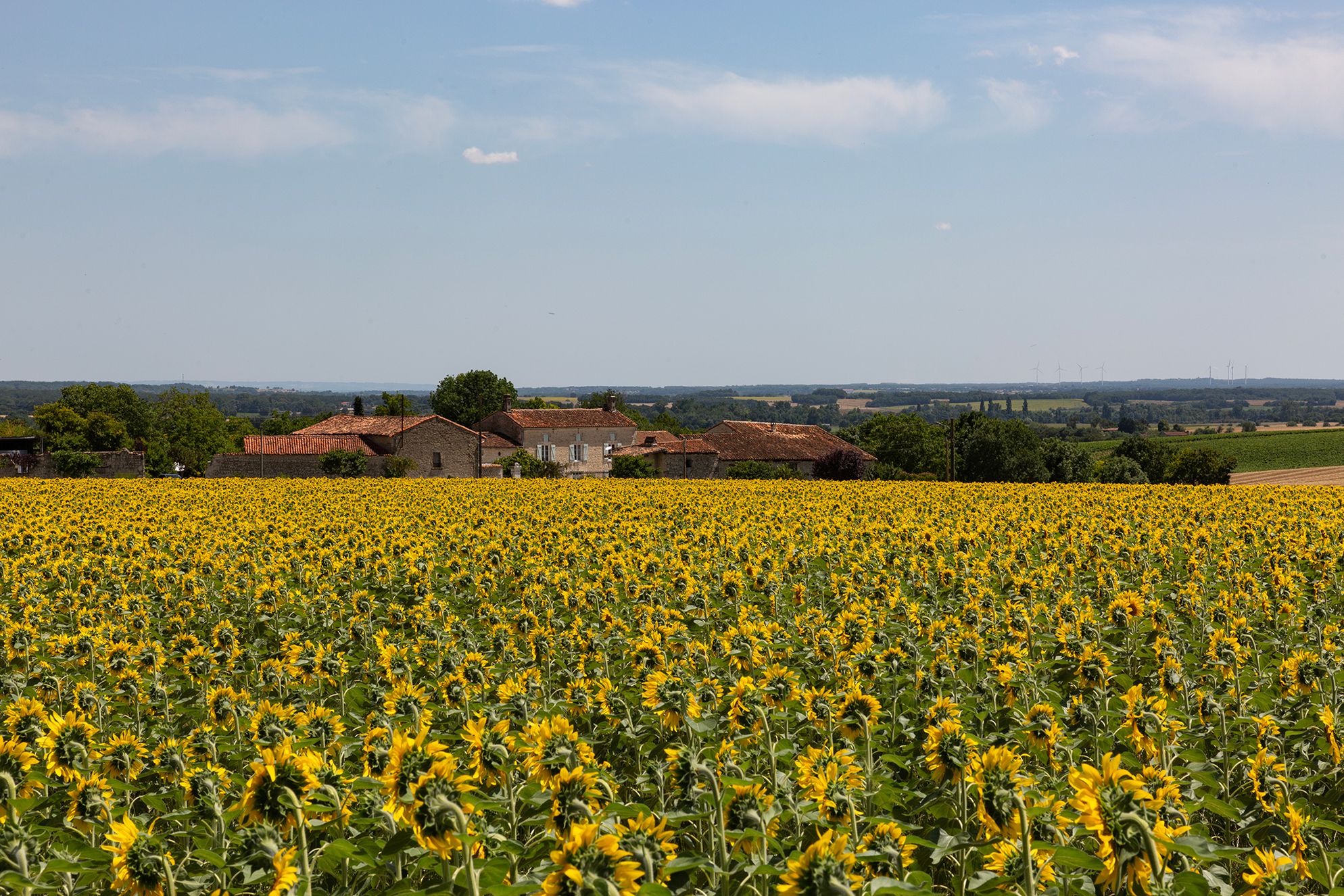 La Cour de Husson Estate - Gallery