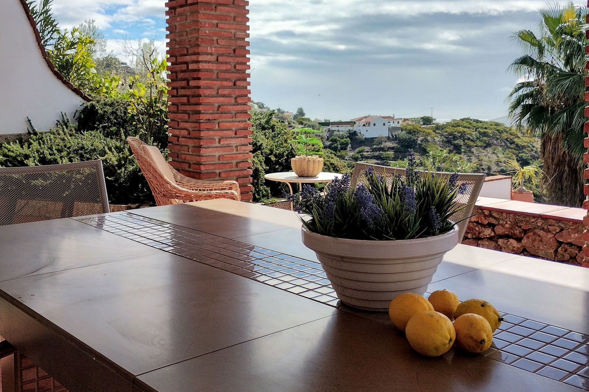 Villa Mimosa - Gallery