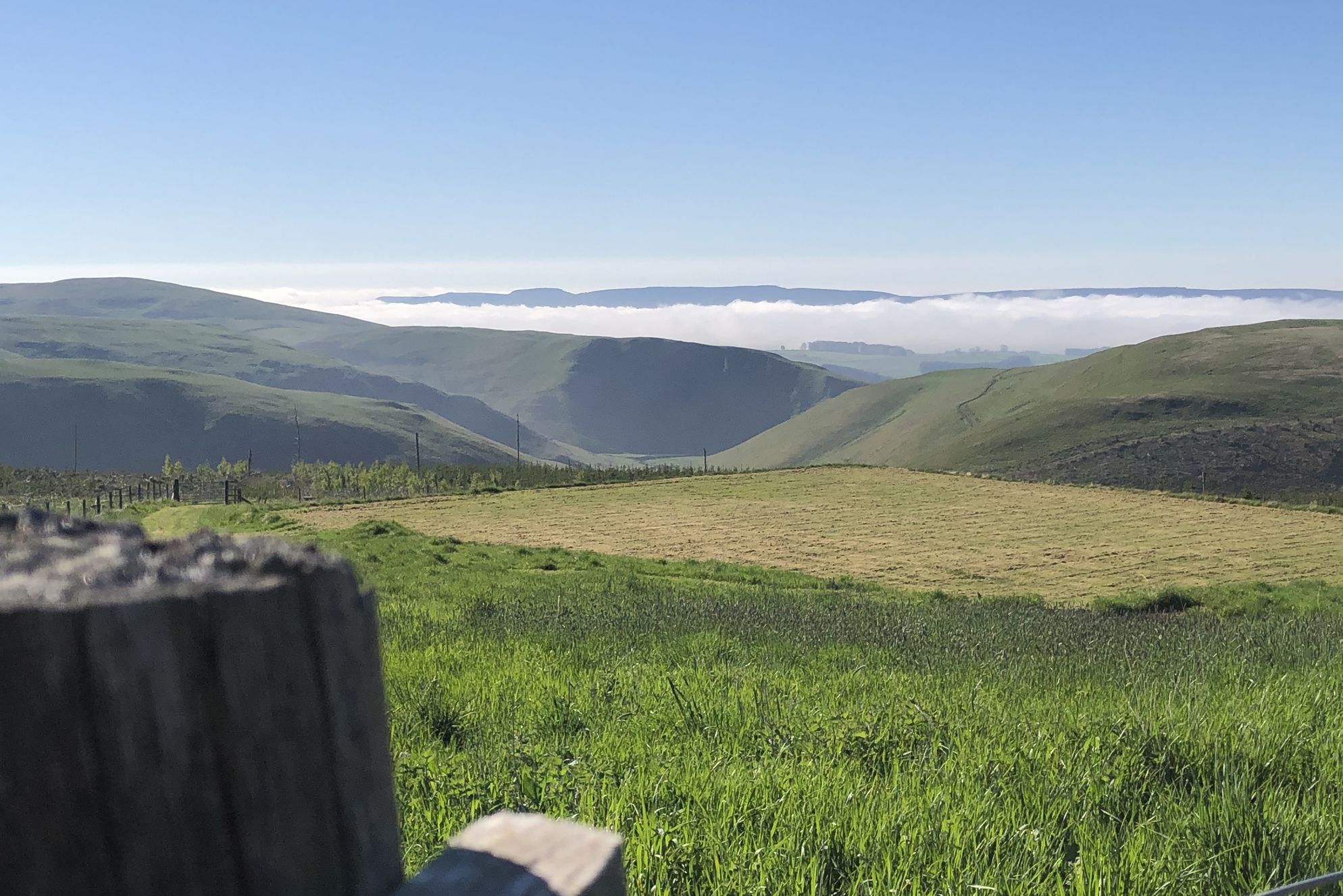 Leyland Barn, Kidlandlee - Gallery