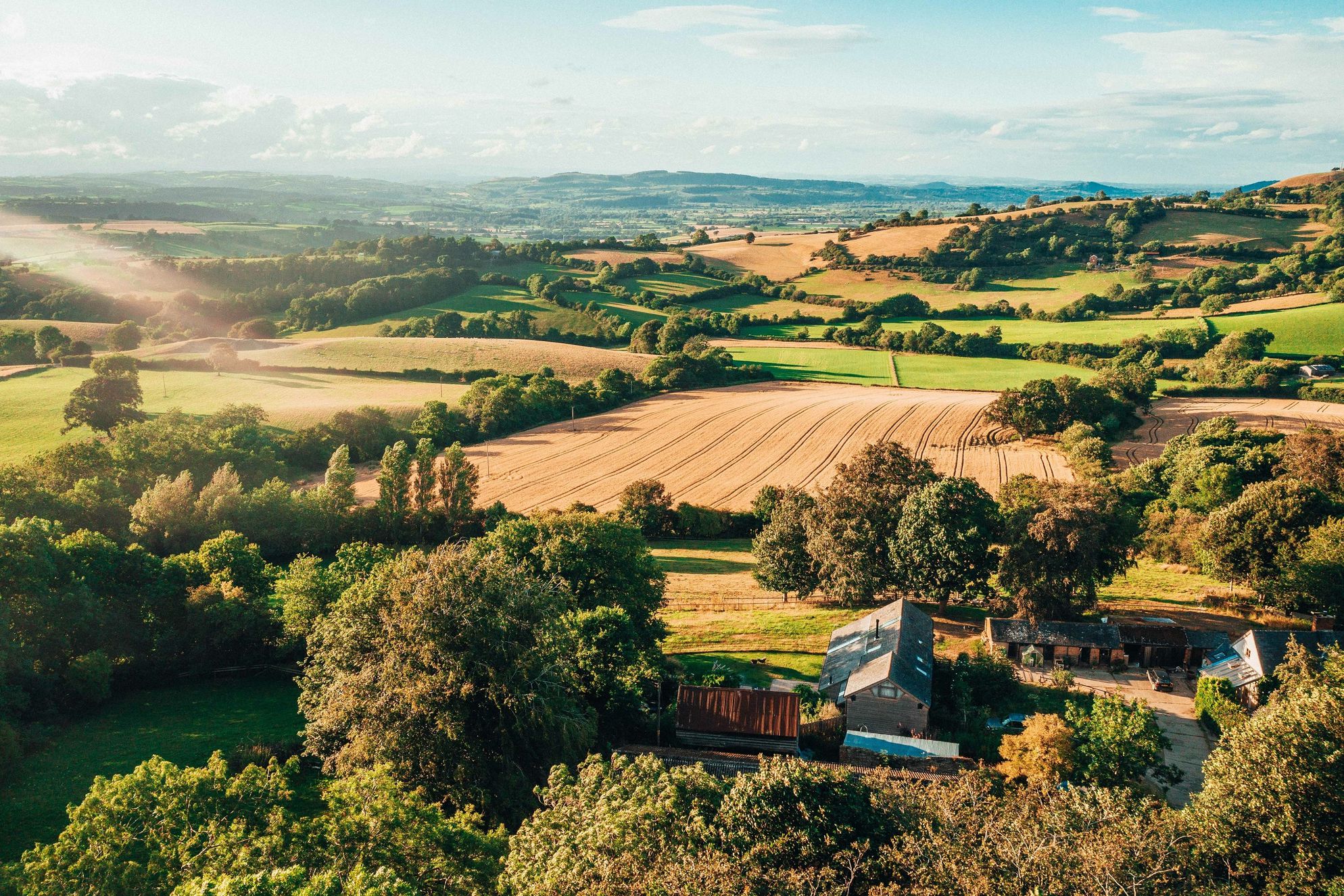 Whitehall Dairy - Gallery