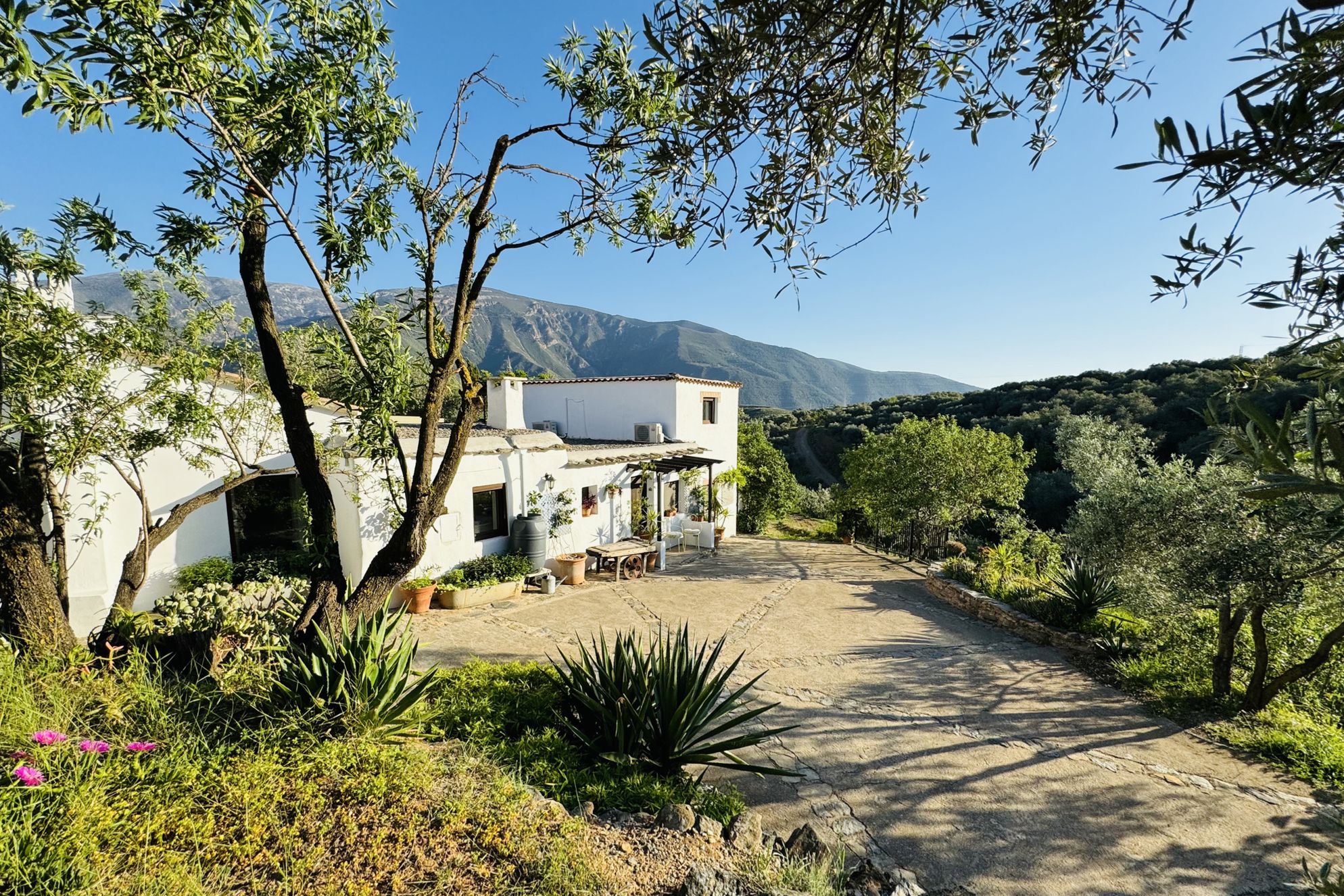Almond Hill House - Gallery