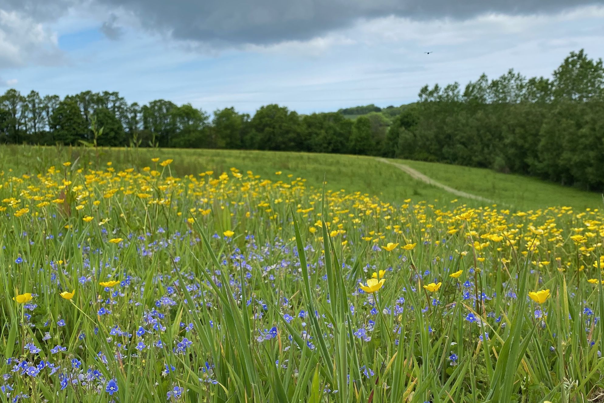 The Granary at Ennys - Gallery