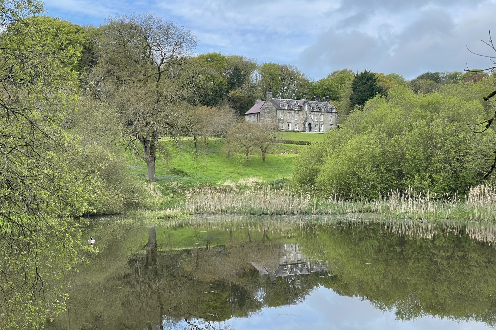 Noyadd Trefawr - Gallery