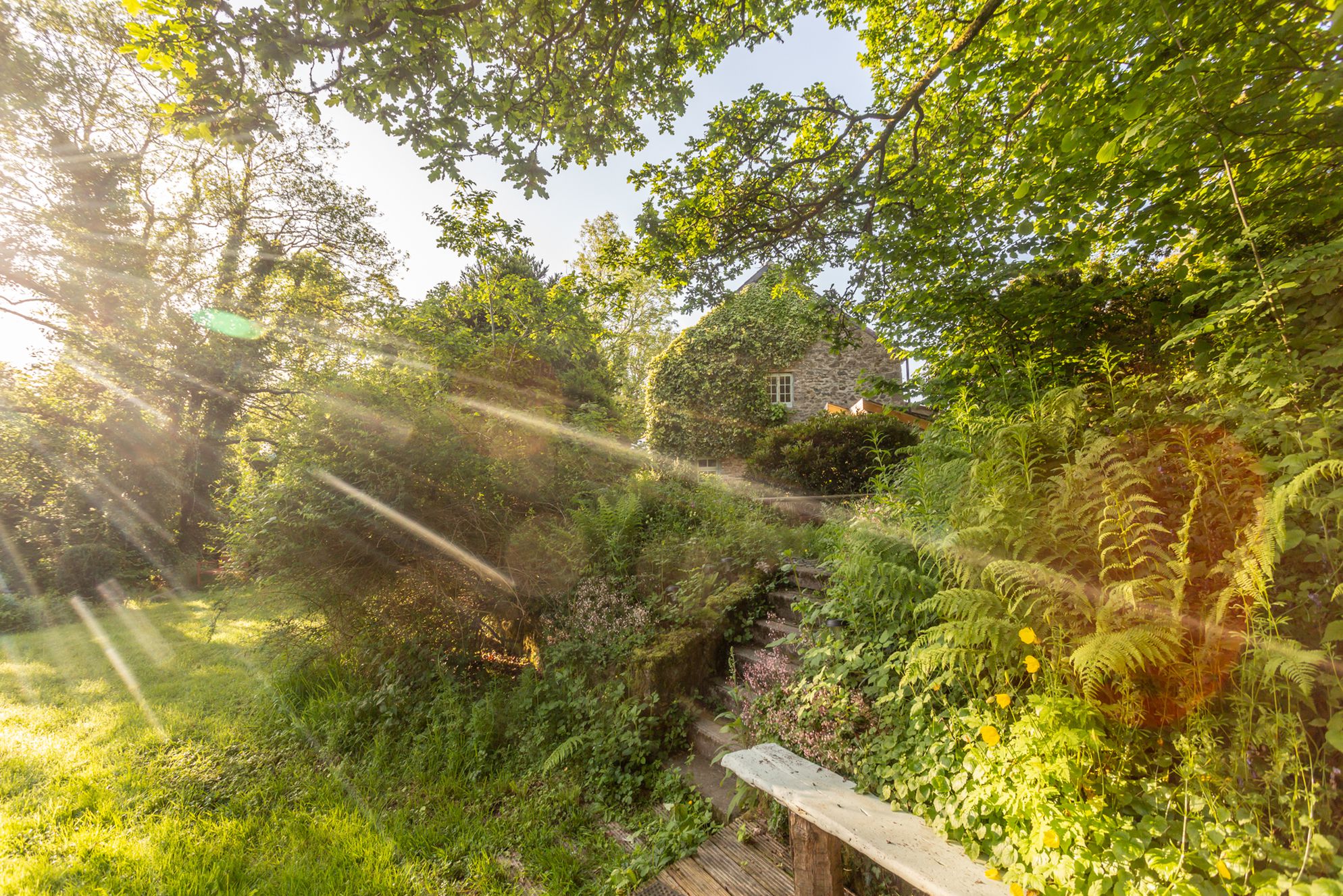 Glan-yr-afon - Gallery