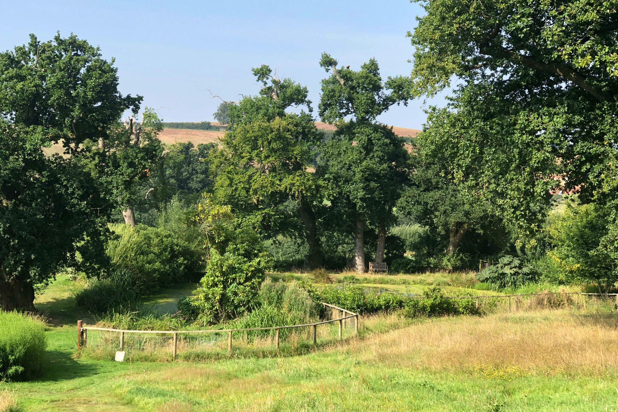 Fursdon Cottage - Gallery