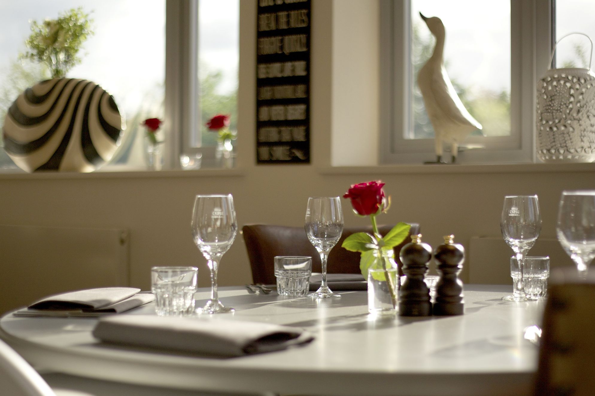 The Fuzzy Duck - Gallery