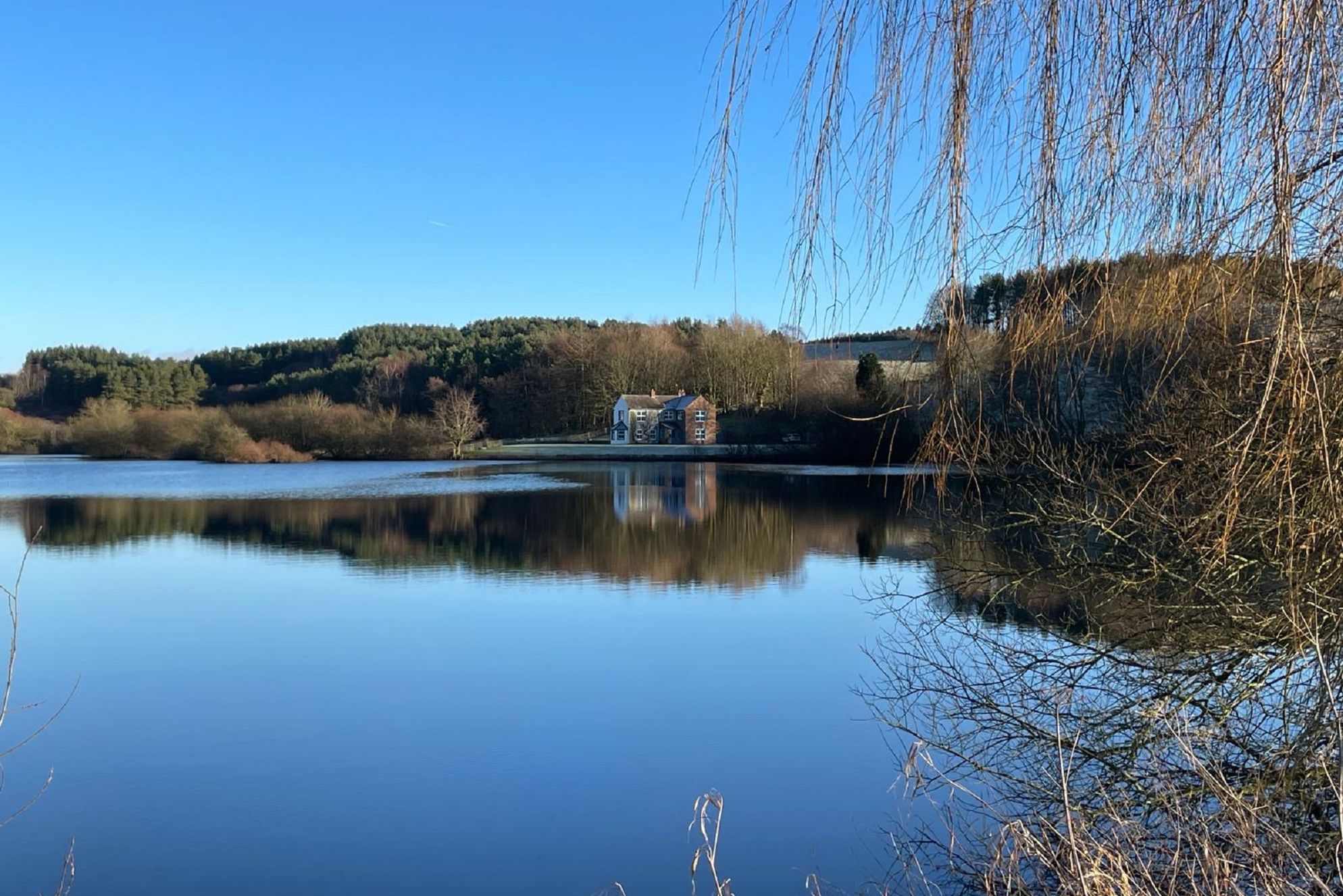 Abbott Moss - Gallery