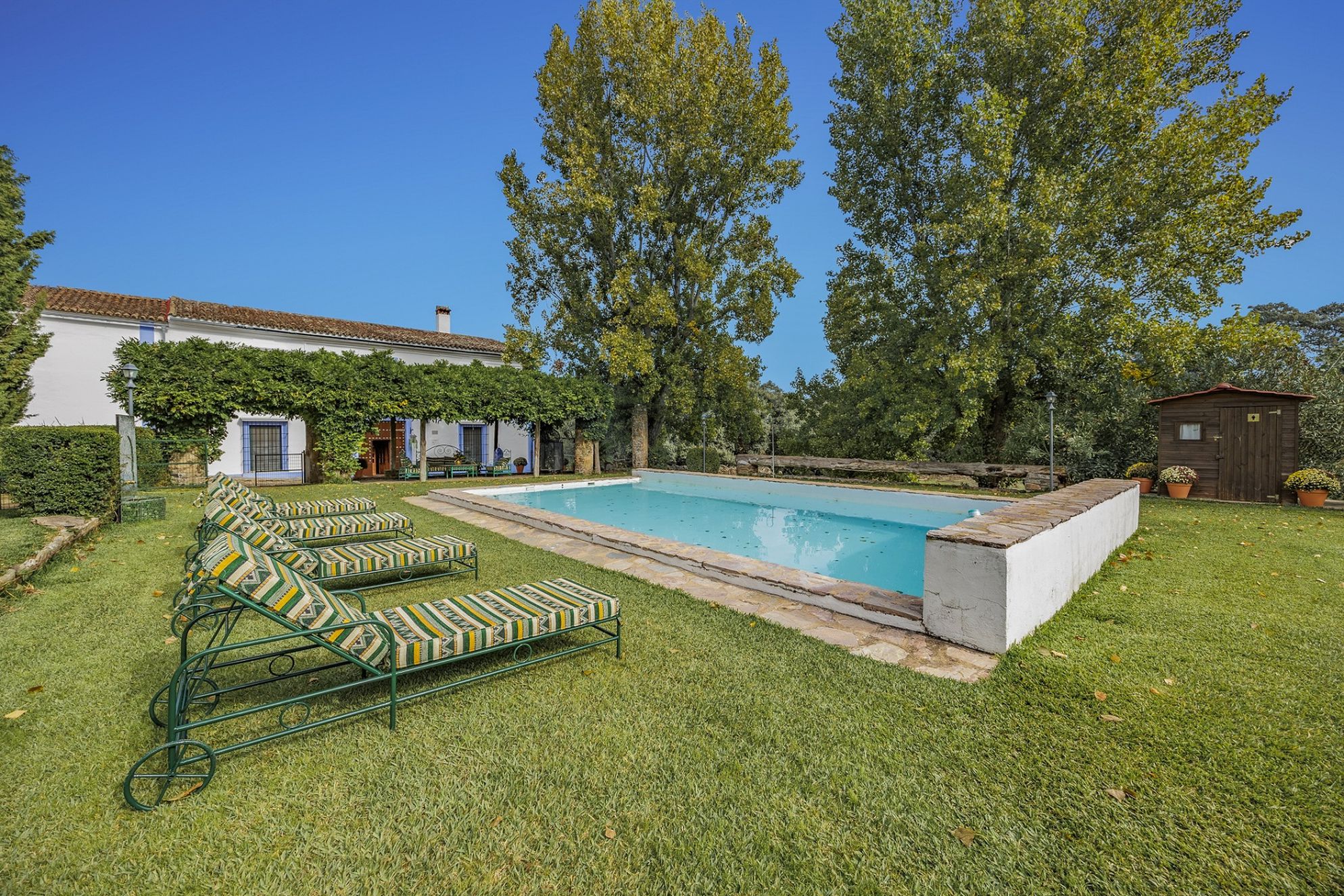 The Olive Mill - Gallery