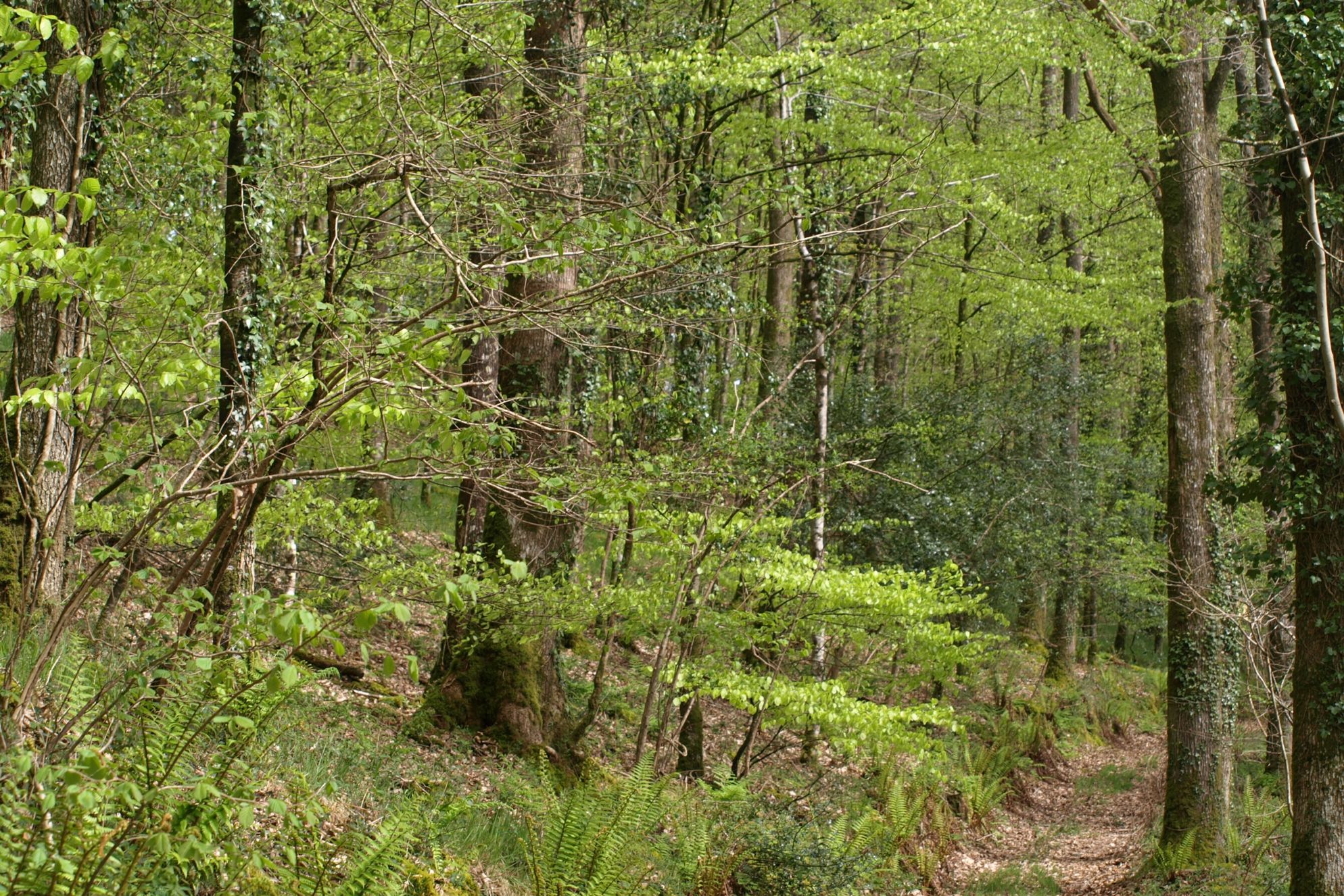 Horry Mill - Gallery