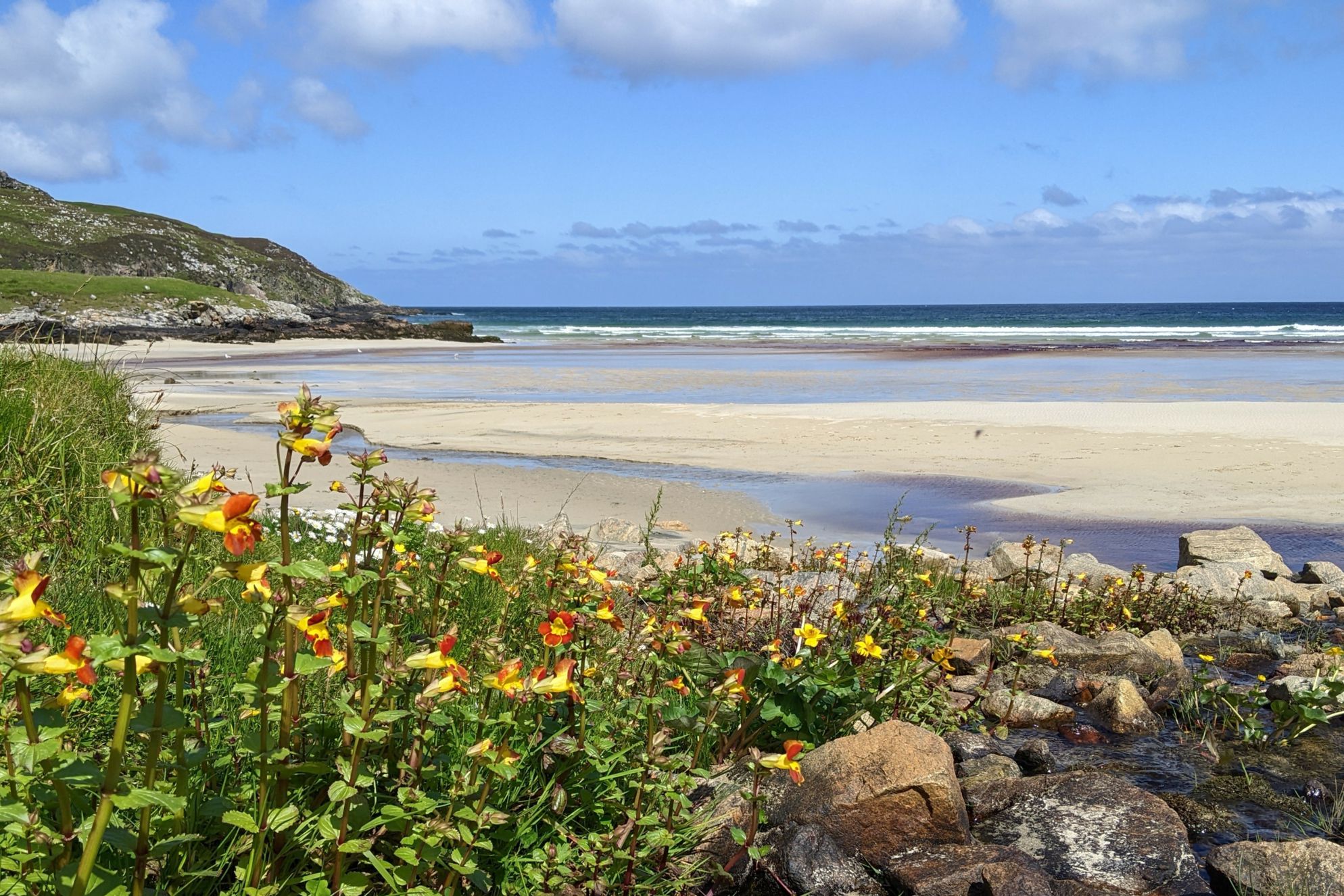 The Lewis Longhouse - Gallery