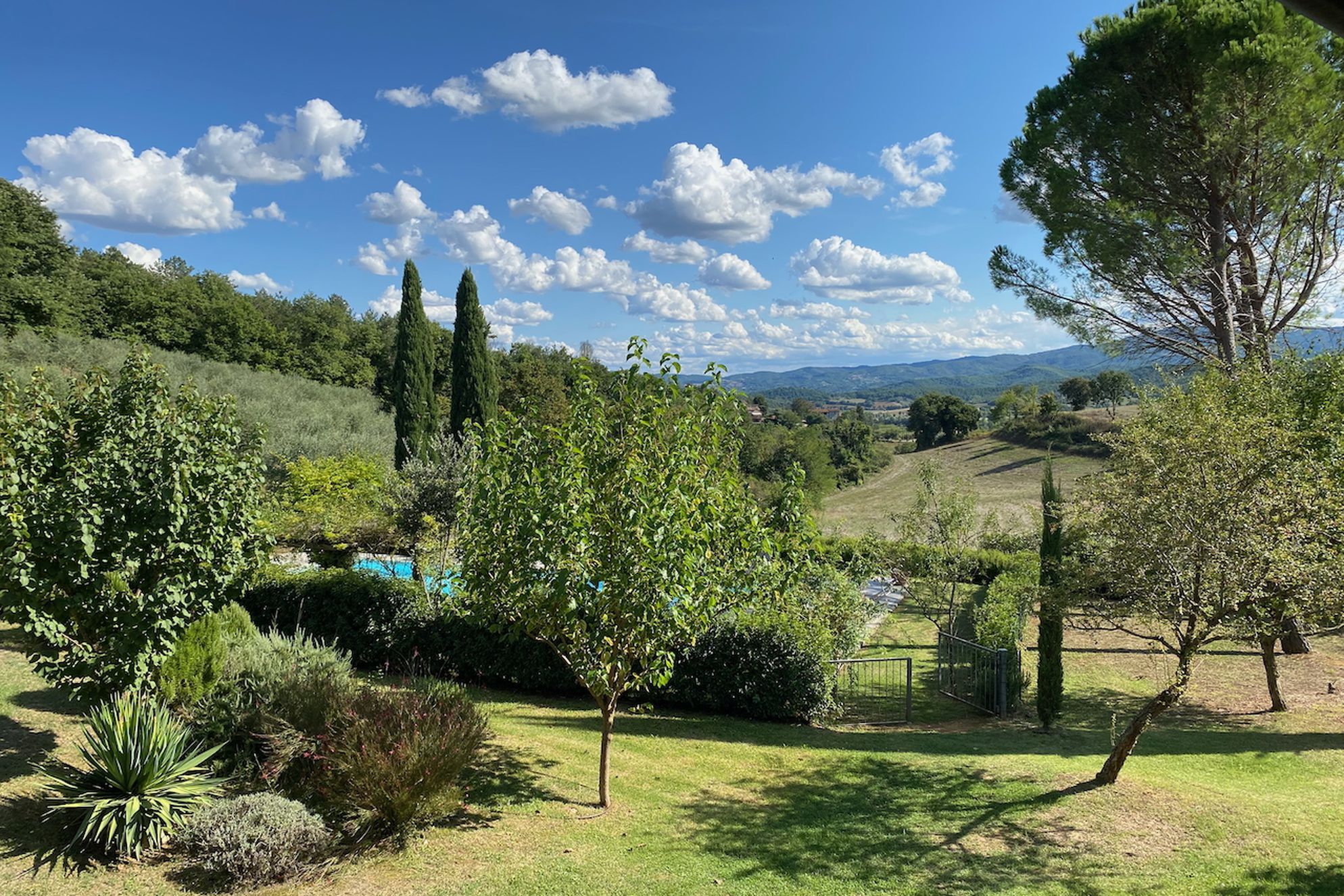 La Ceruglia - Gallery