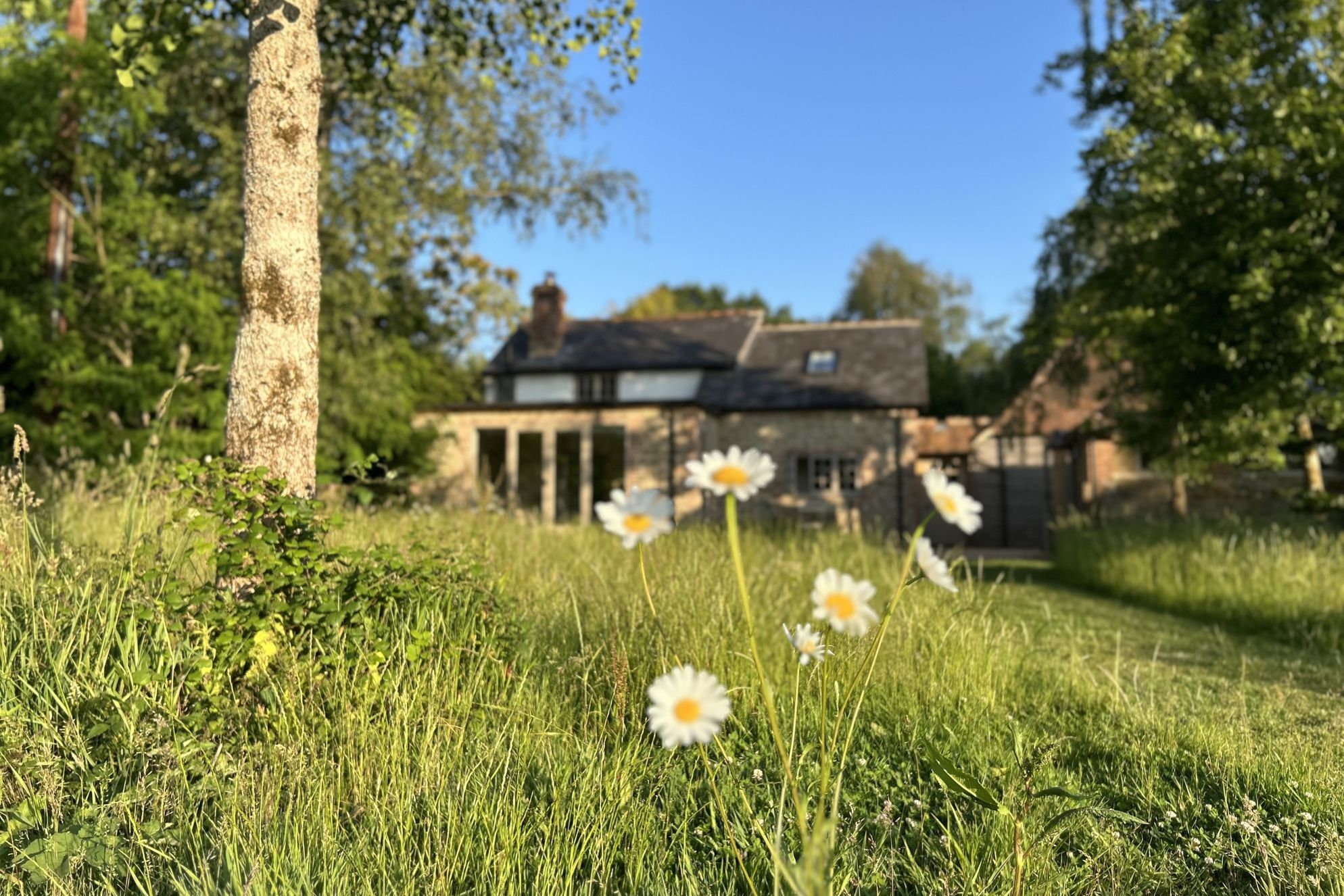 The Little House - Gallery