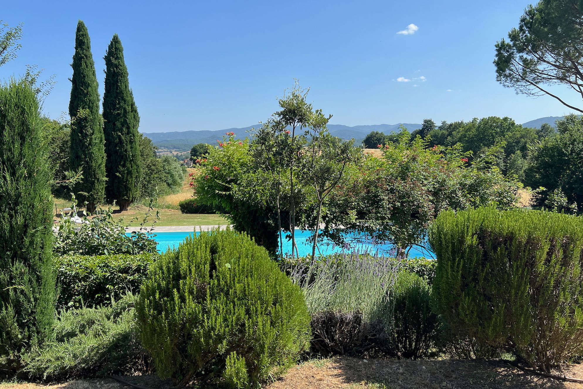 La Ceruglia - Gallery