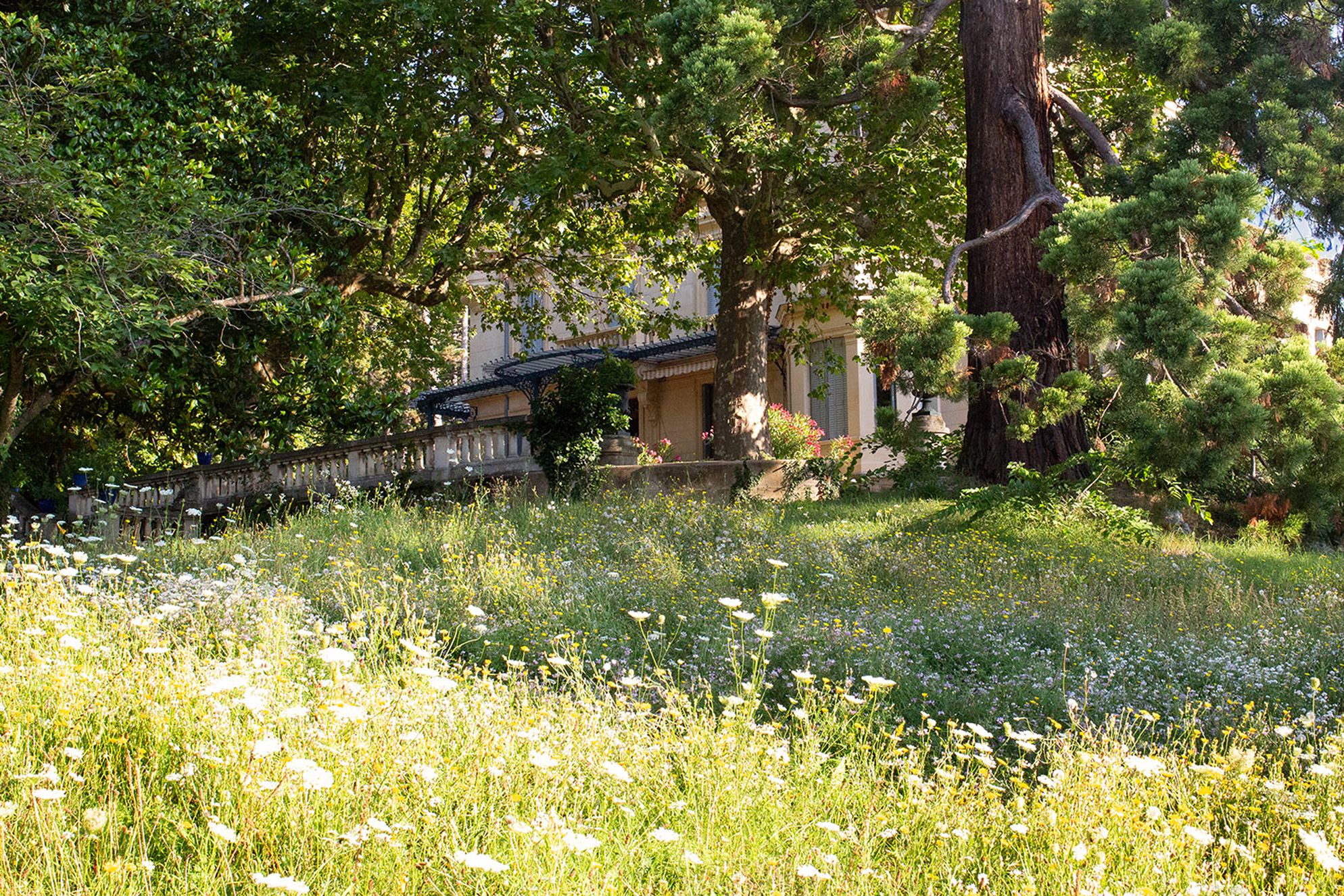 Hotel-Musée de la Villa Bagatelle - Gallery