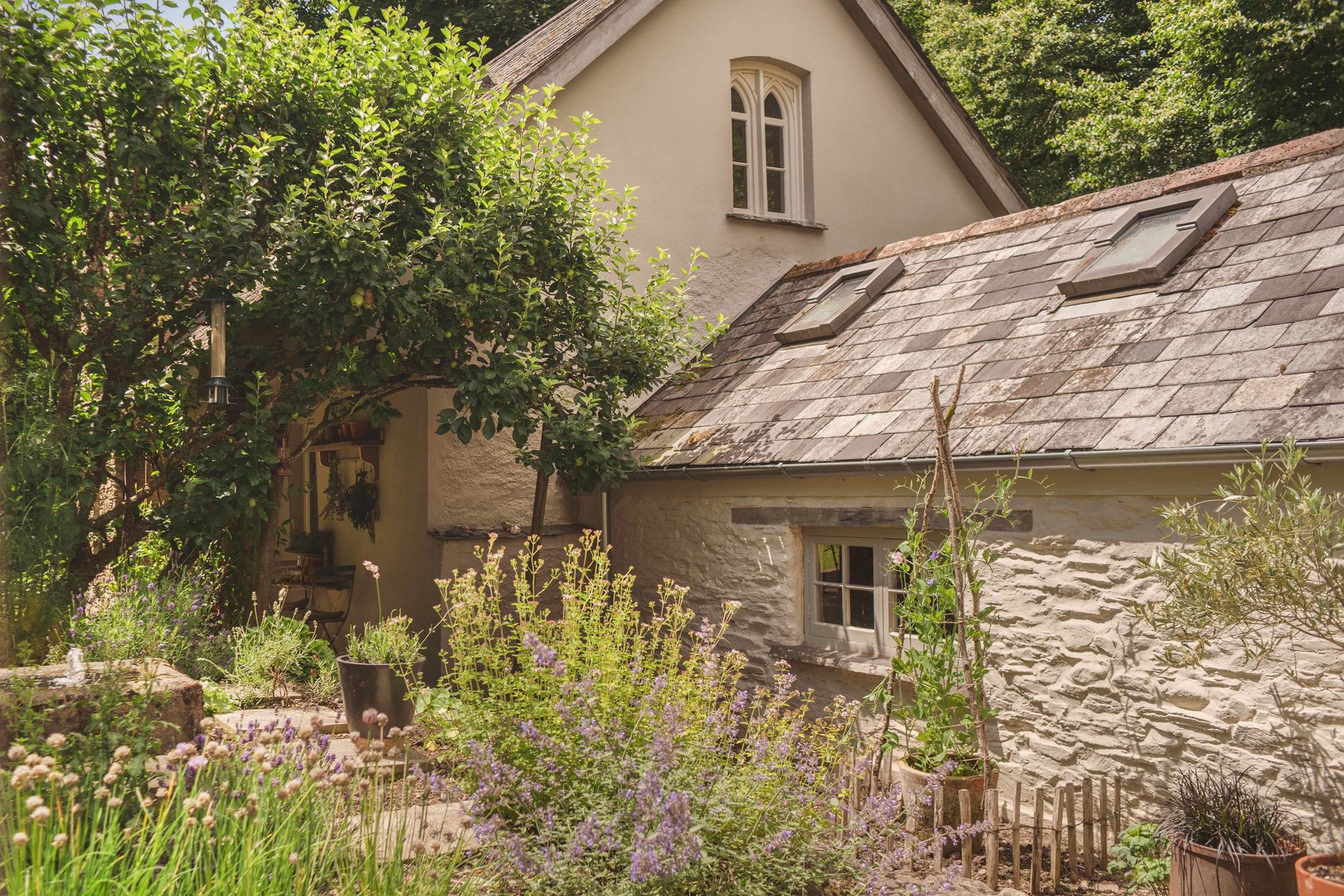 Ivy Studio - Gallery