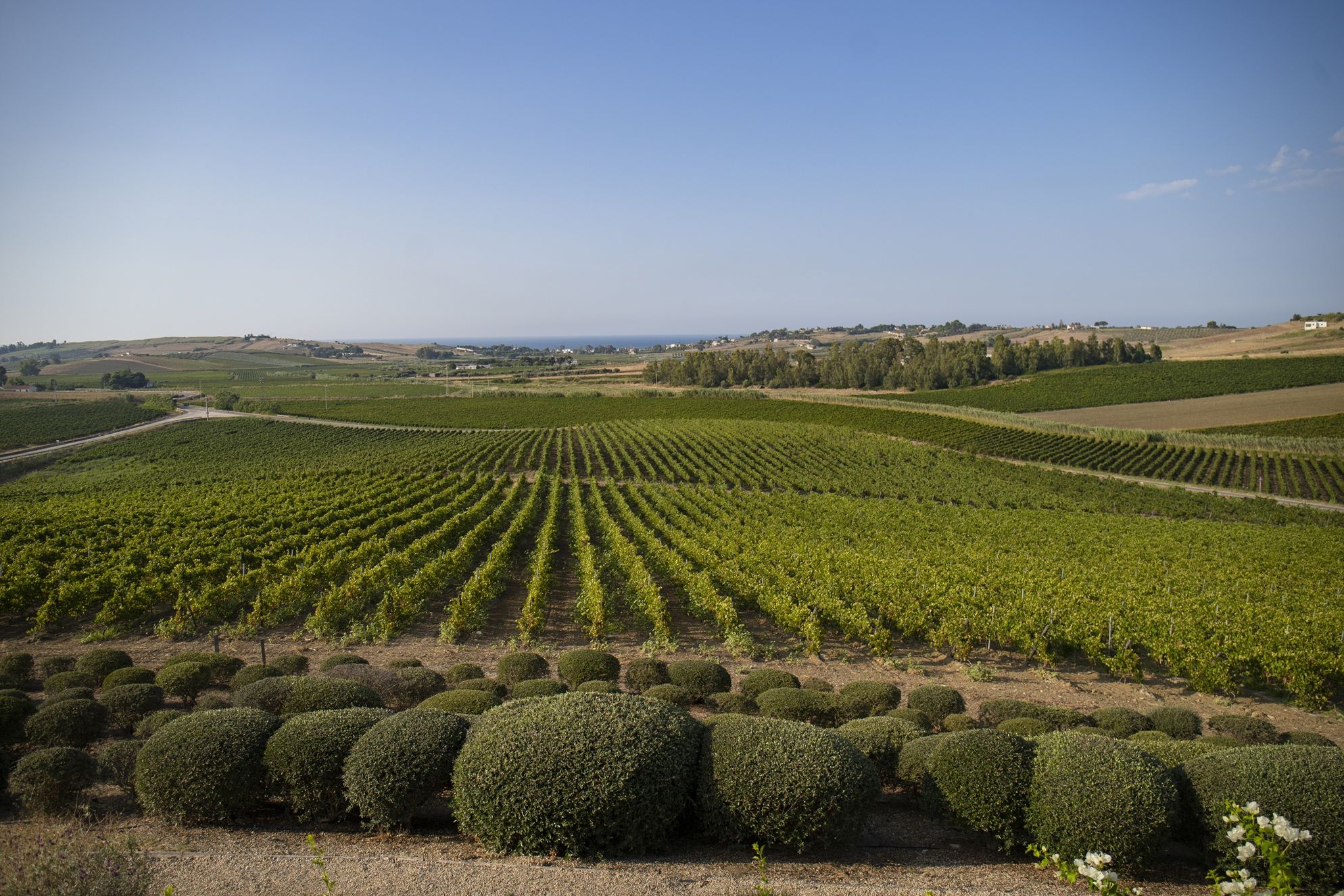 La Foresteria Wine Resort & Beach Club - Gallery