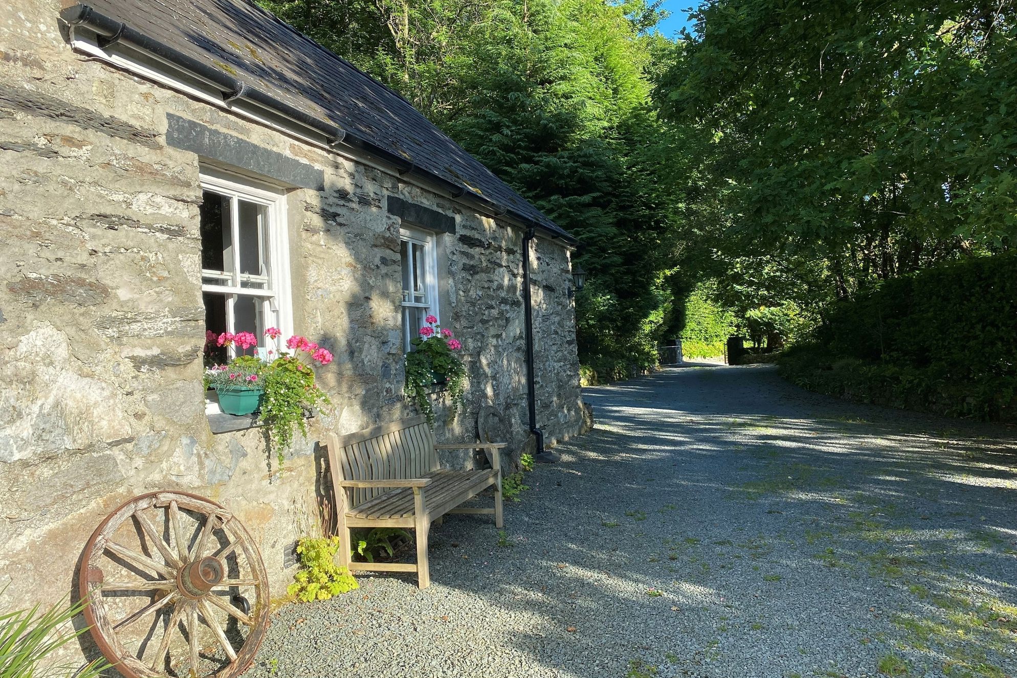 The Studio - Gallery