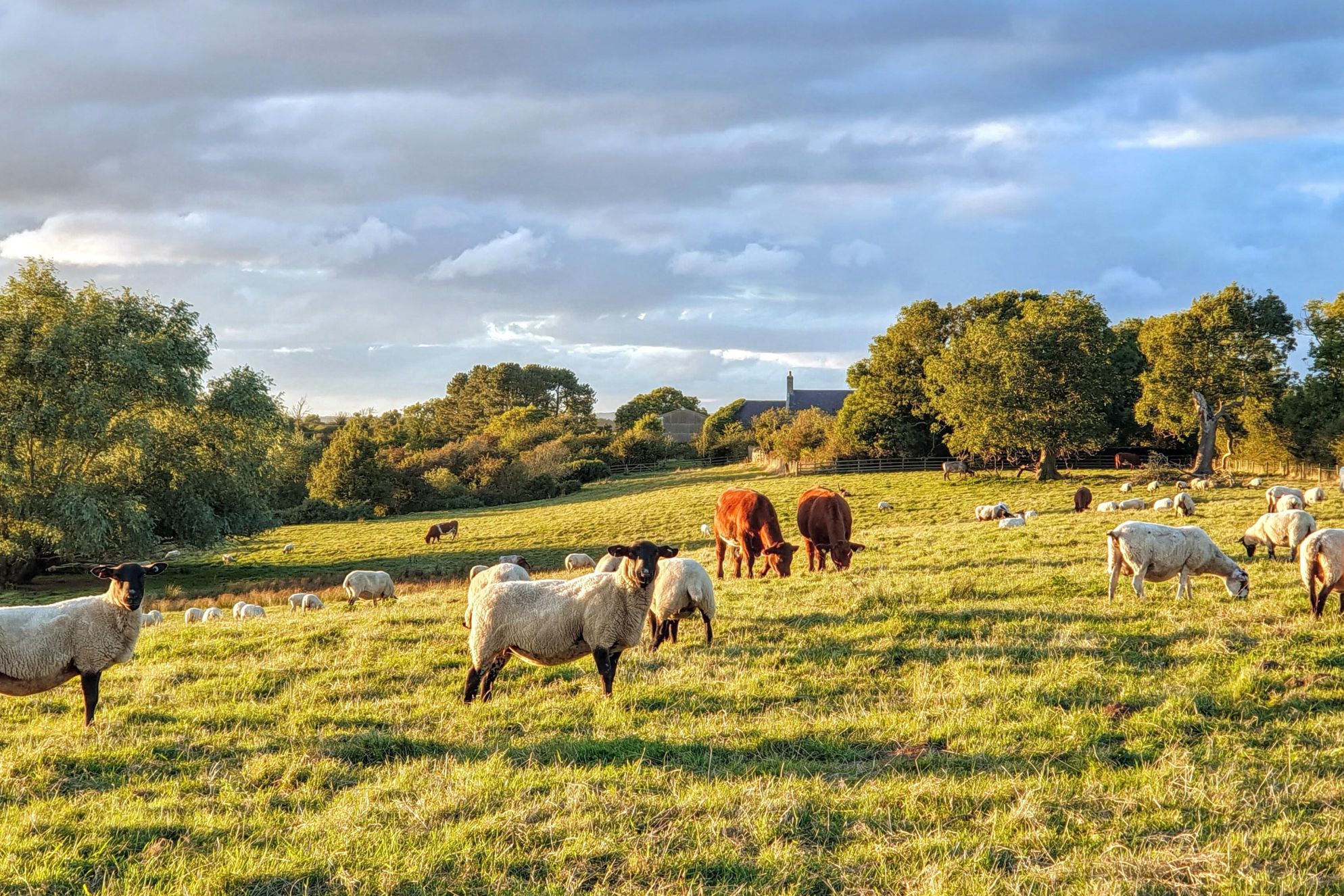 The Piggery at Hunting Hall - Gallery