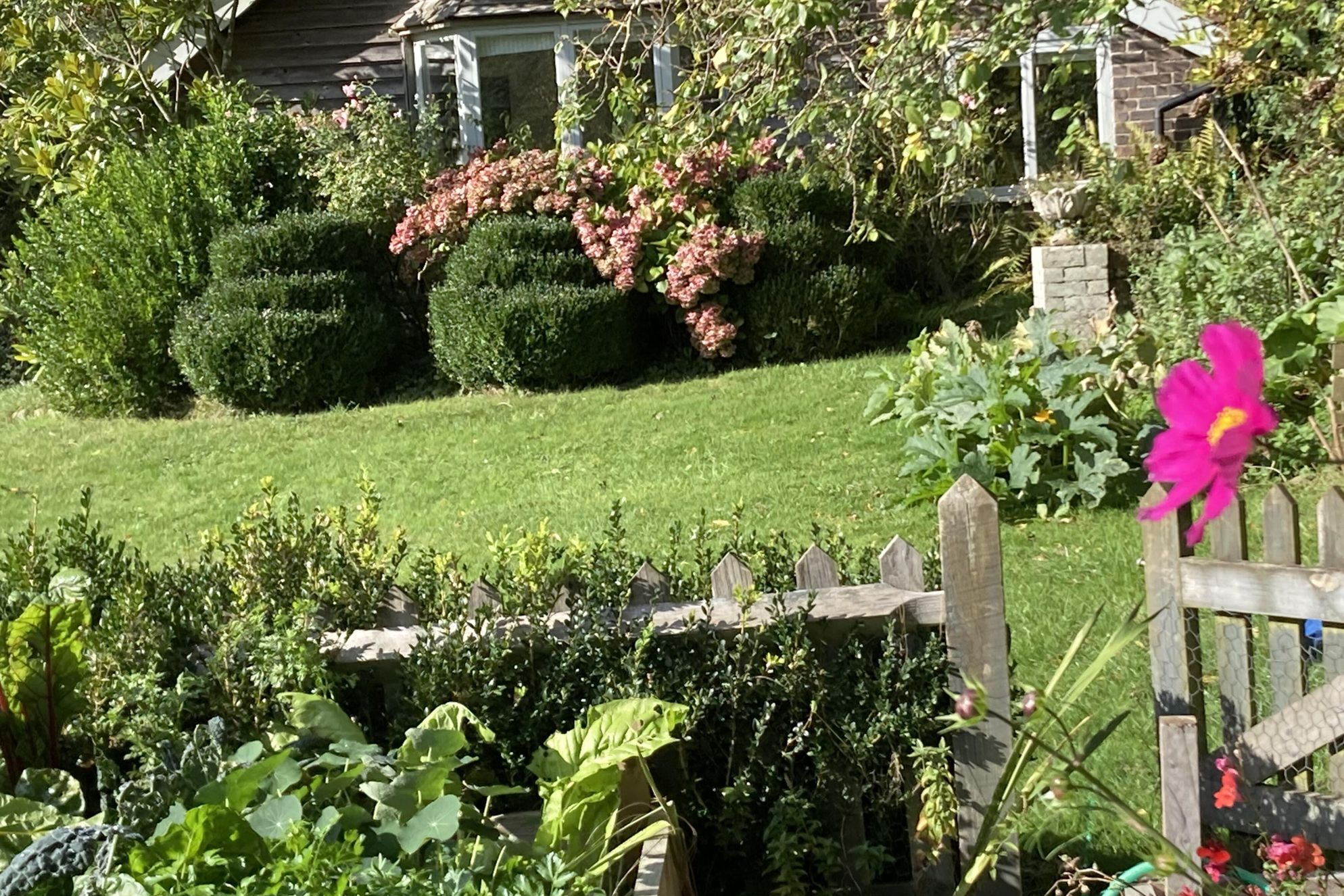 The Cottage in the Garden - Gallery