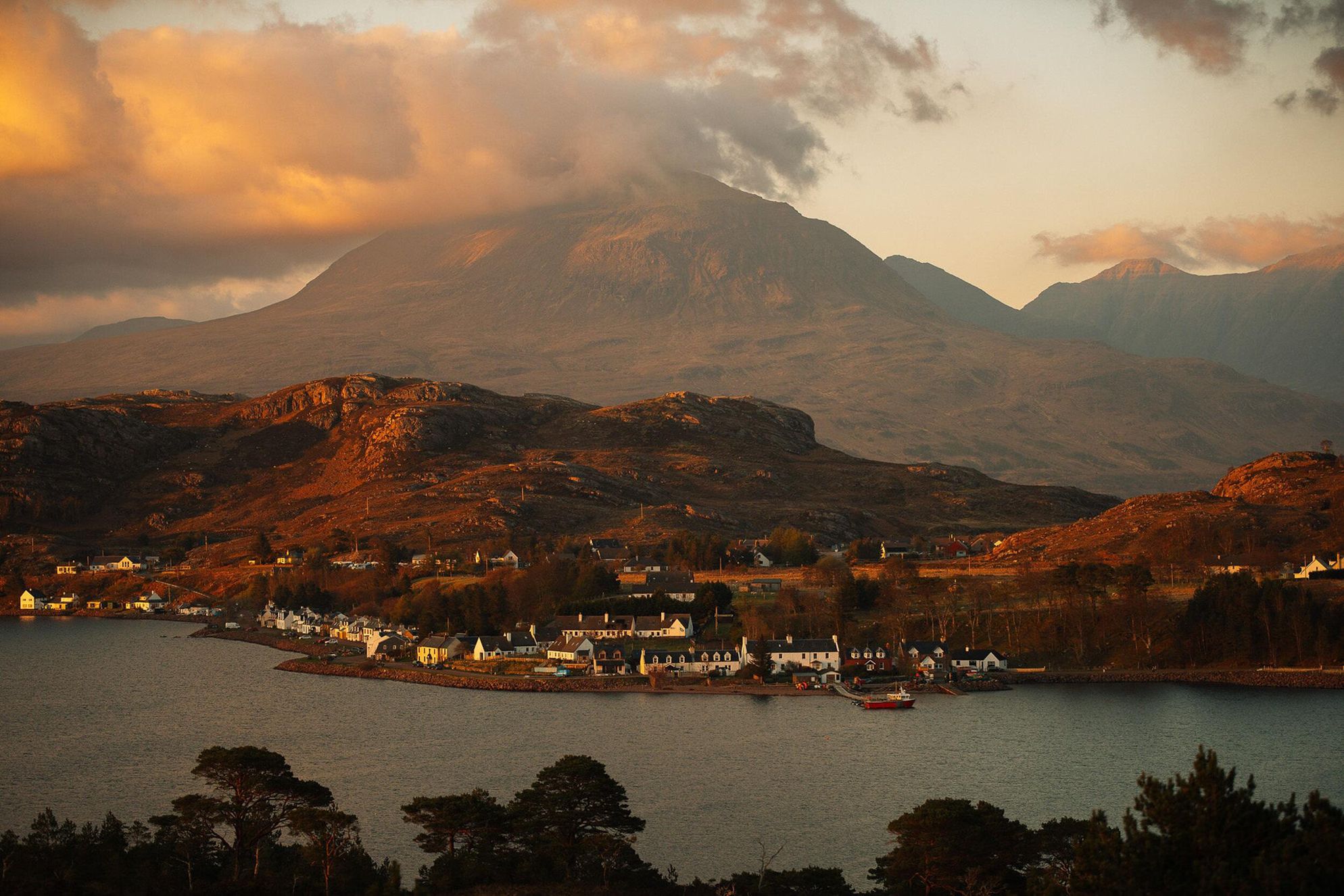 Feada Coille - Gallery