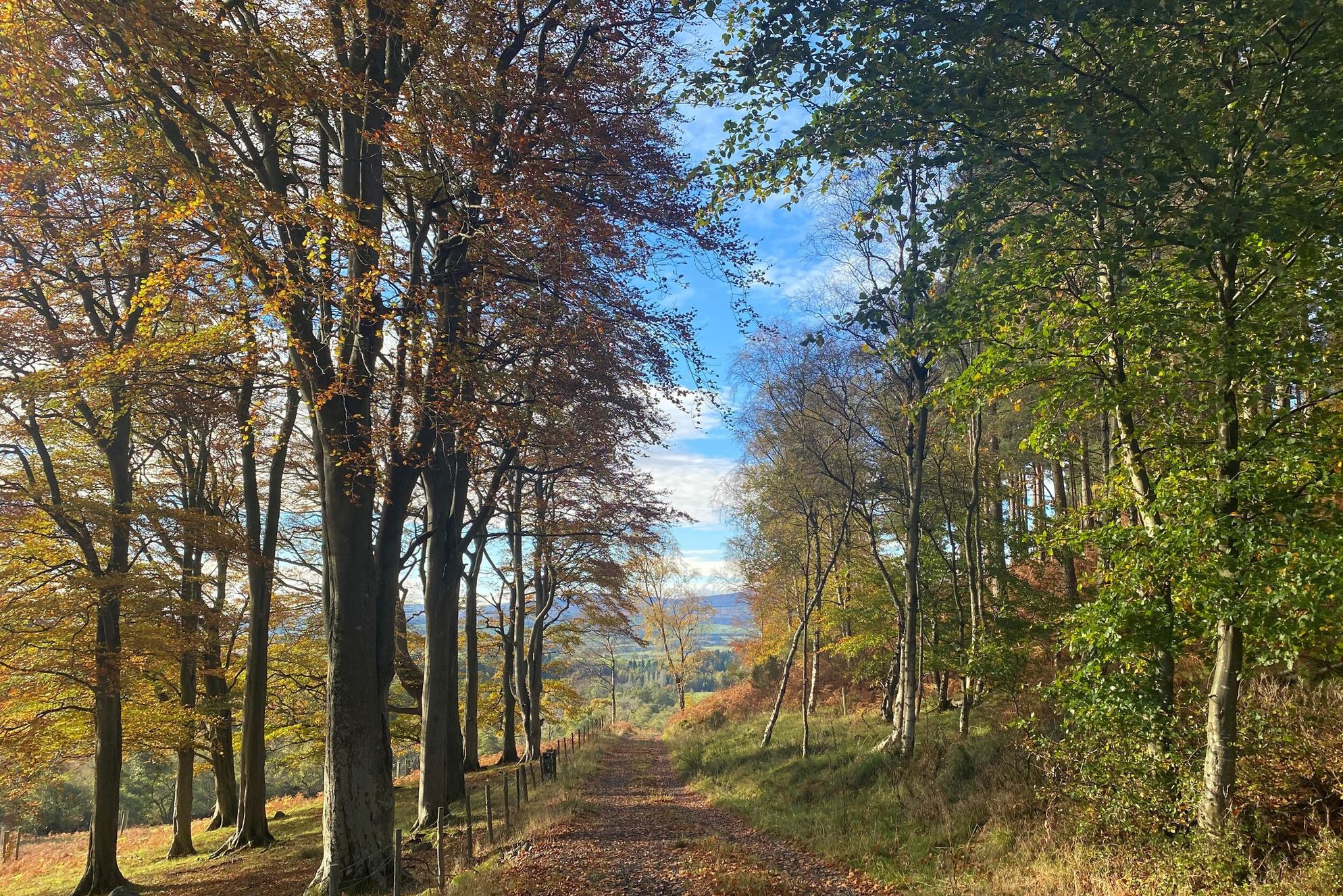 Chillingham Newtown - Gallery