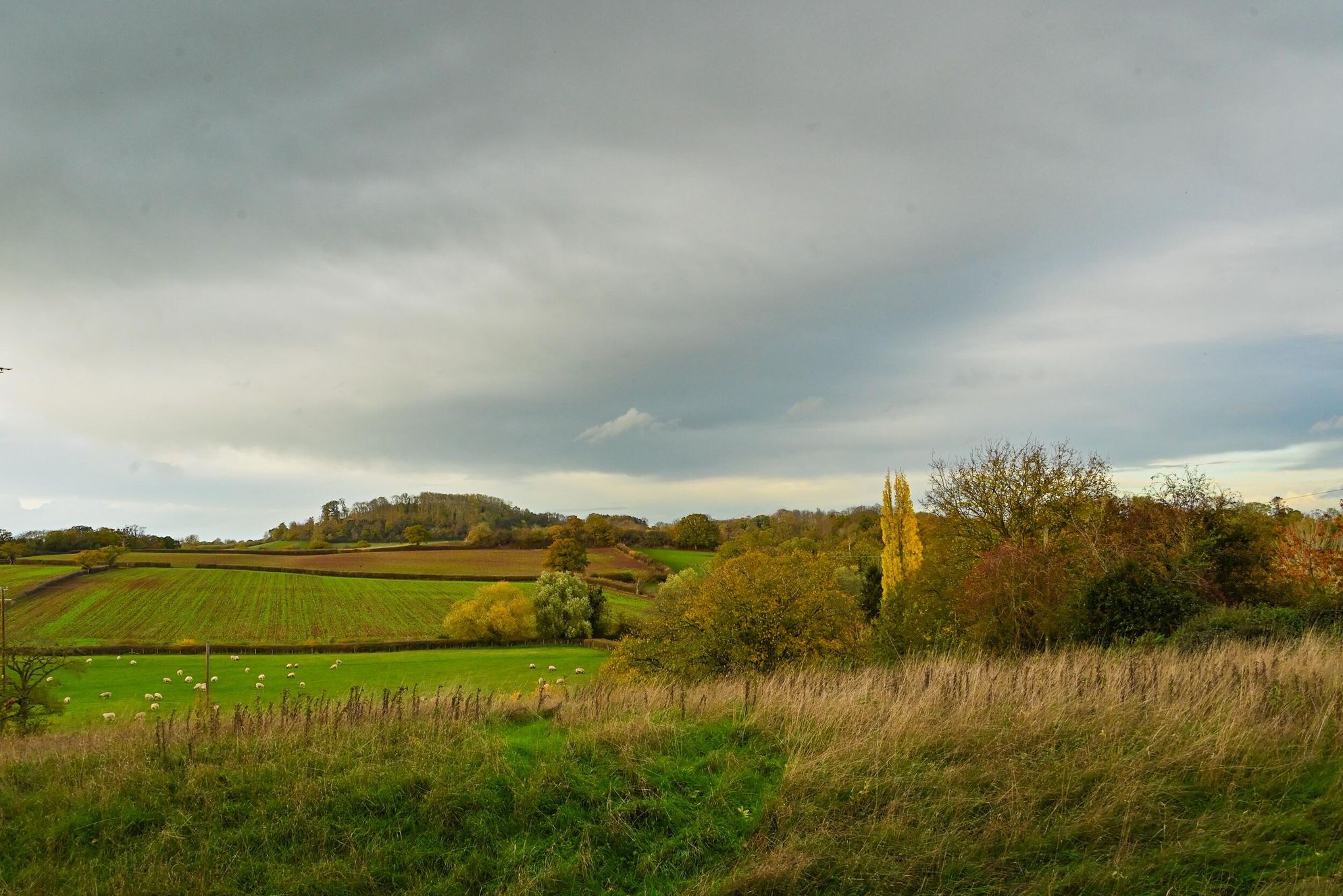 The Alms House East & West at Forthampton Estate - Gallery