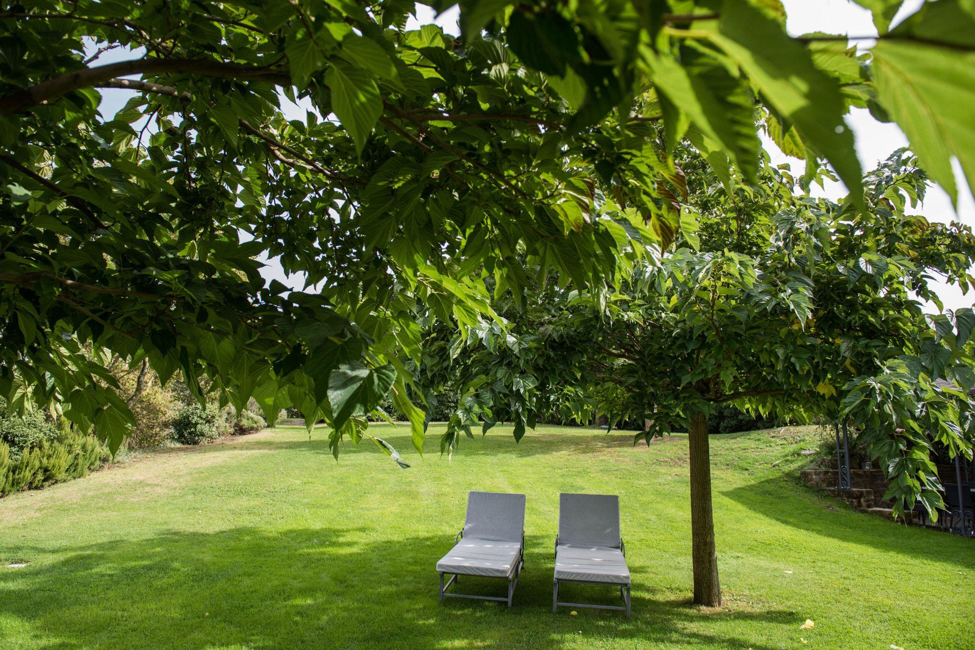 Locanda del Gallo - Gallery