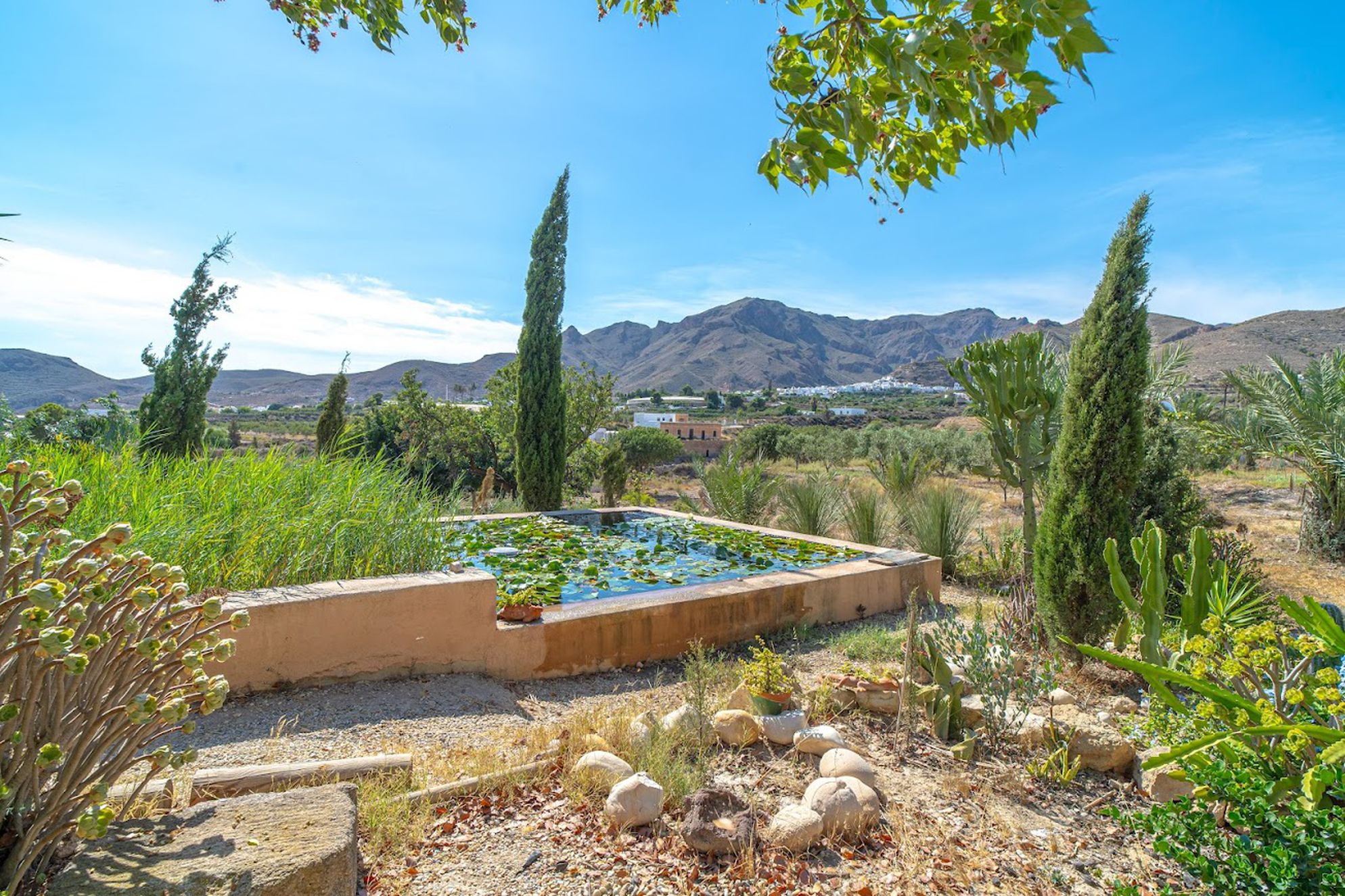 Finca del Alamo - Gallery