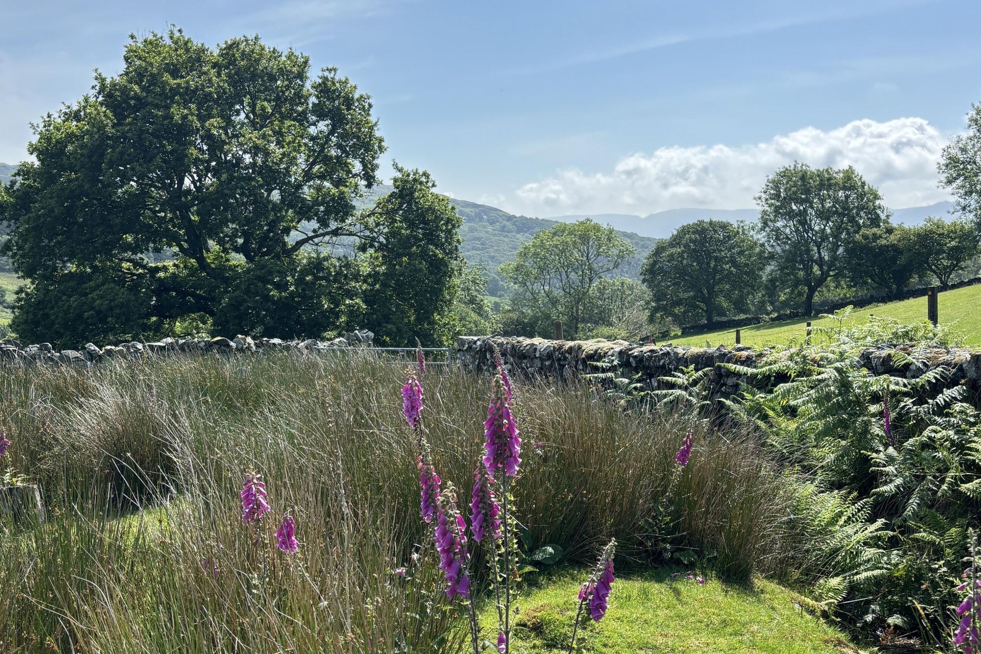 Garth Gell Farmhouse - Gallery