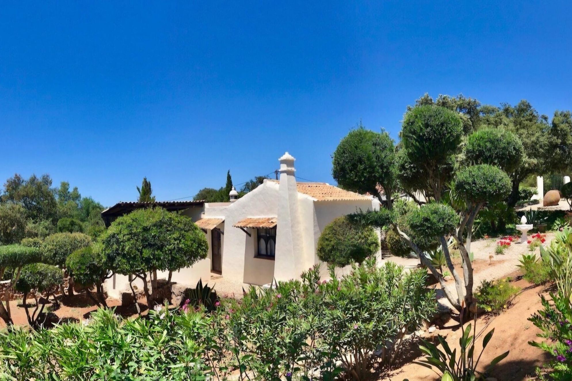 Monte Borboleta - Gallery