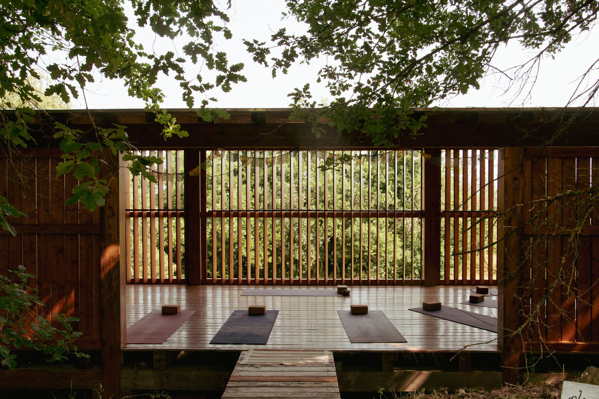 Maraviglia - Gallery