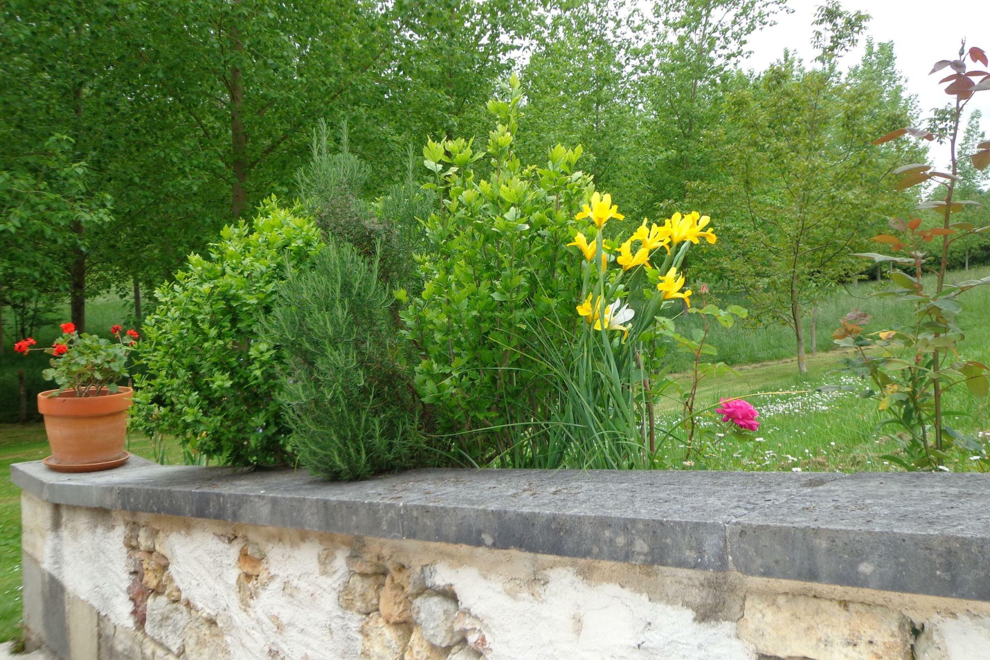 La Meynardie - Kabarole - Gallery