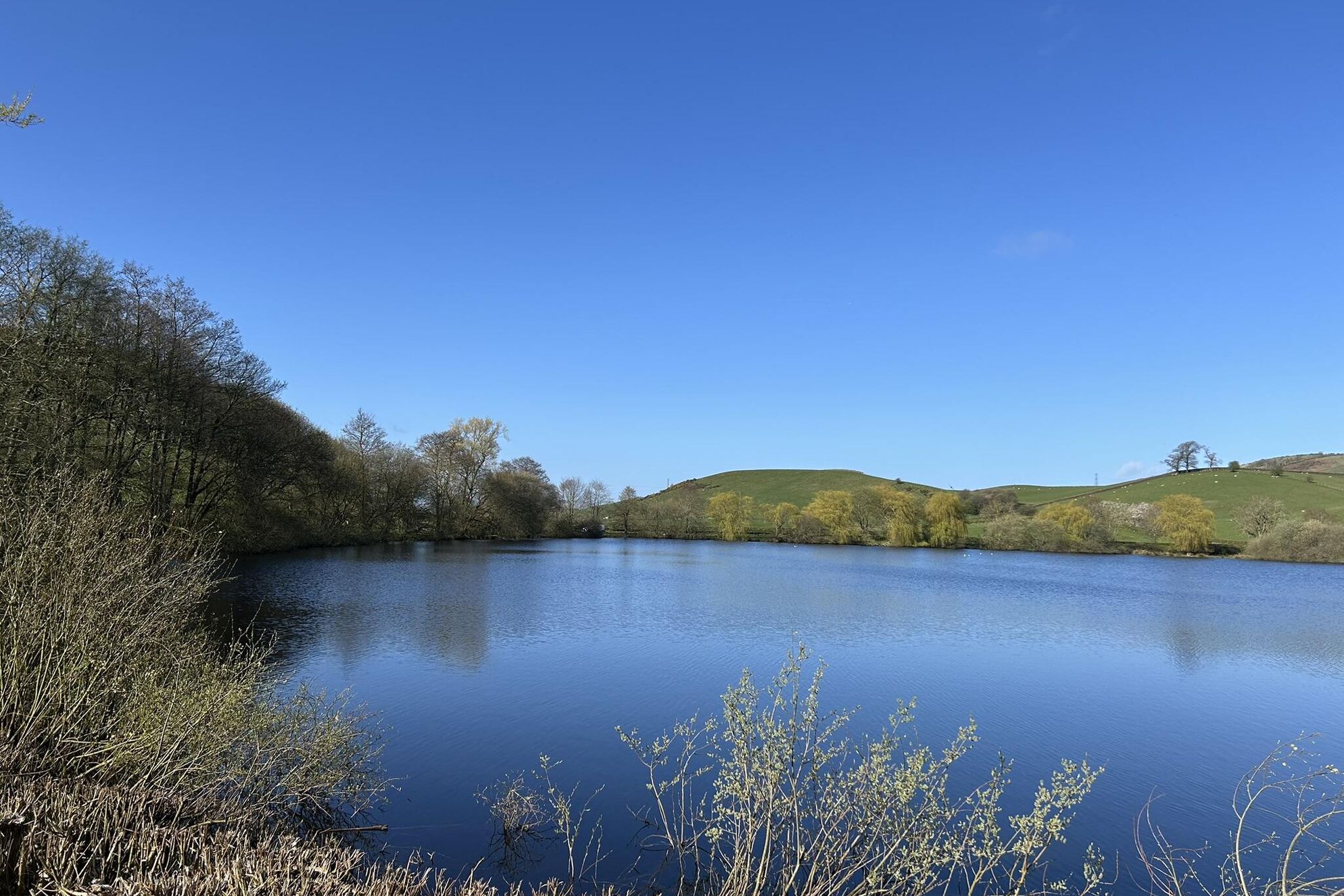 Abbott Moss - Gallery