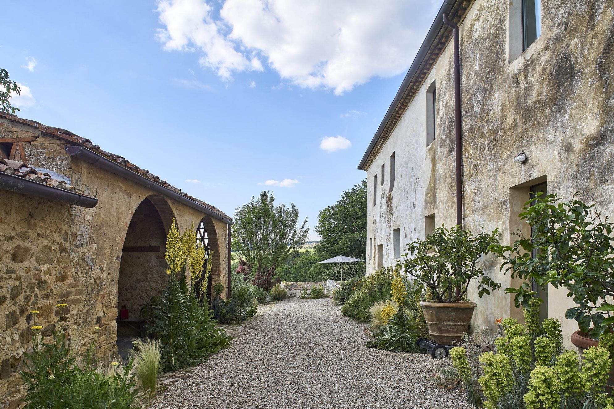 Casale di Cellole - Gallery